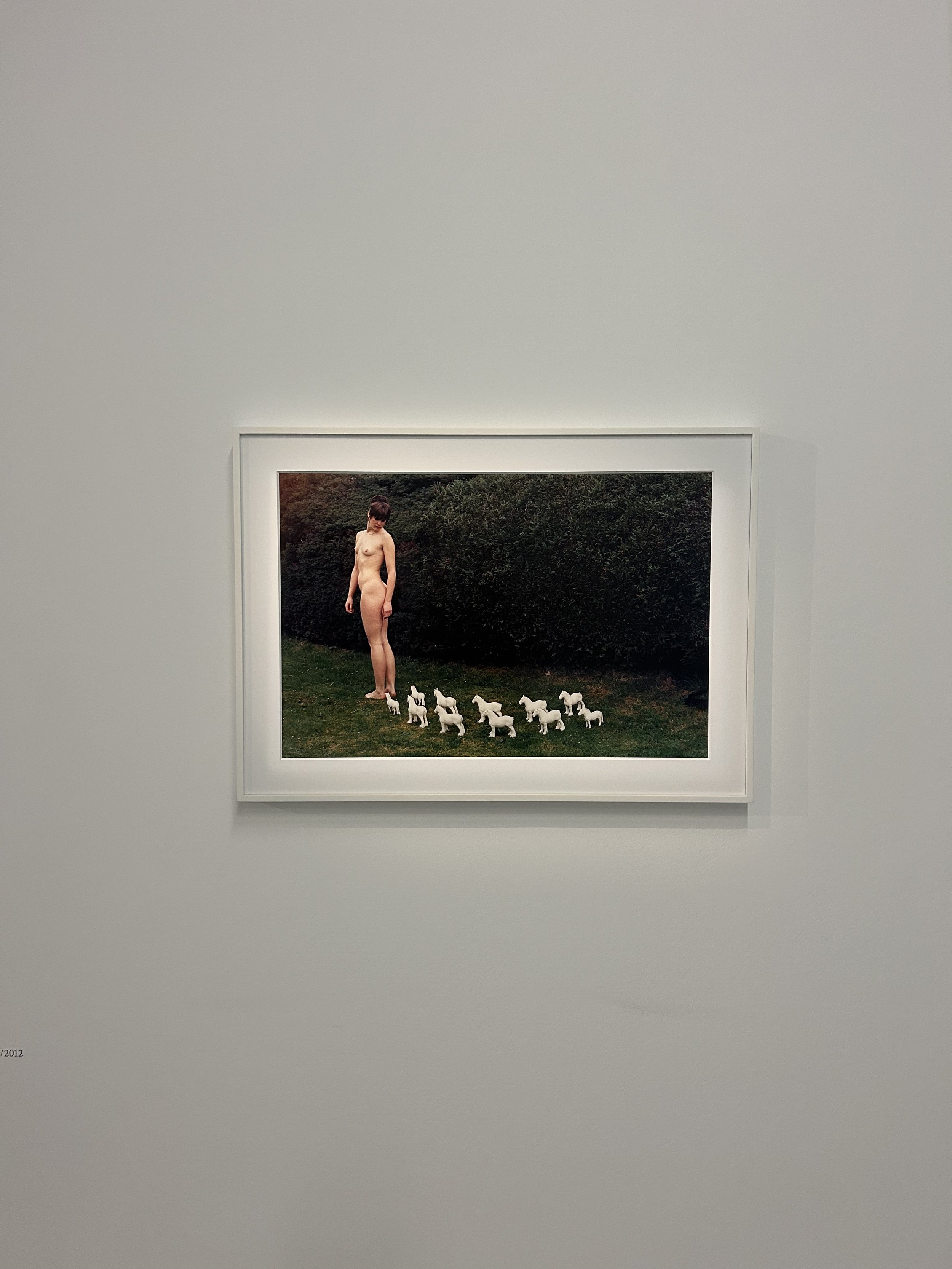 Work from the Rose English exhibtion at the Museum de Moderne.
"Begin Suddenly in Splendour. ROSE ENGLISH: Performance, Presence, Spectacle"