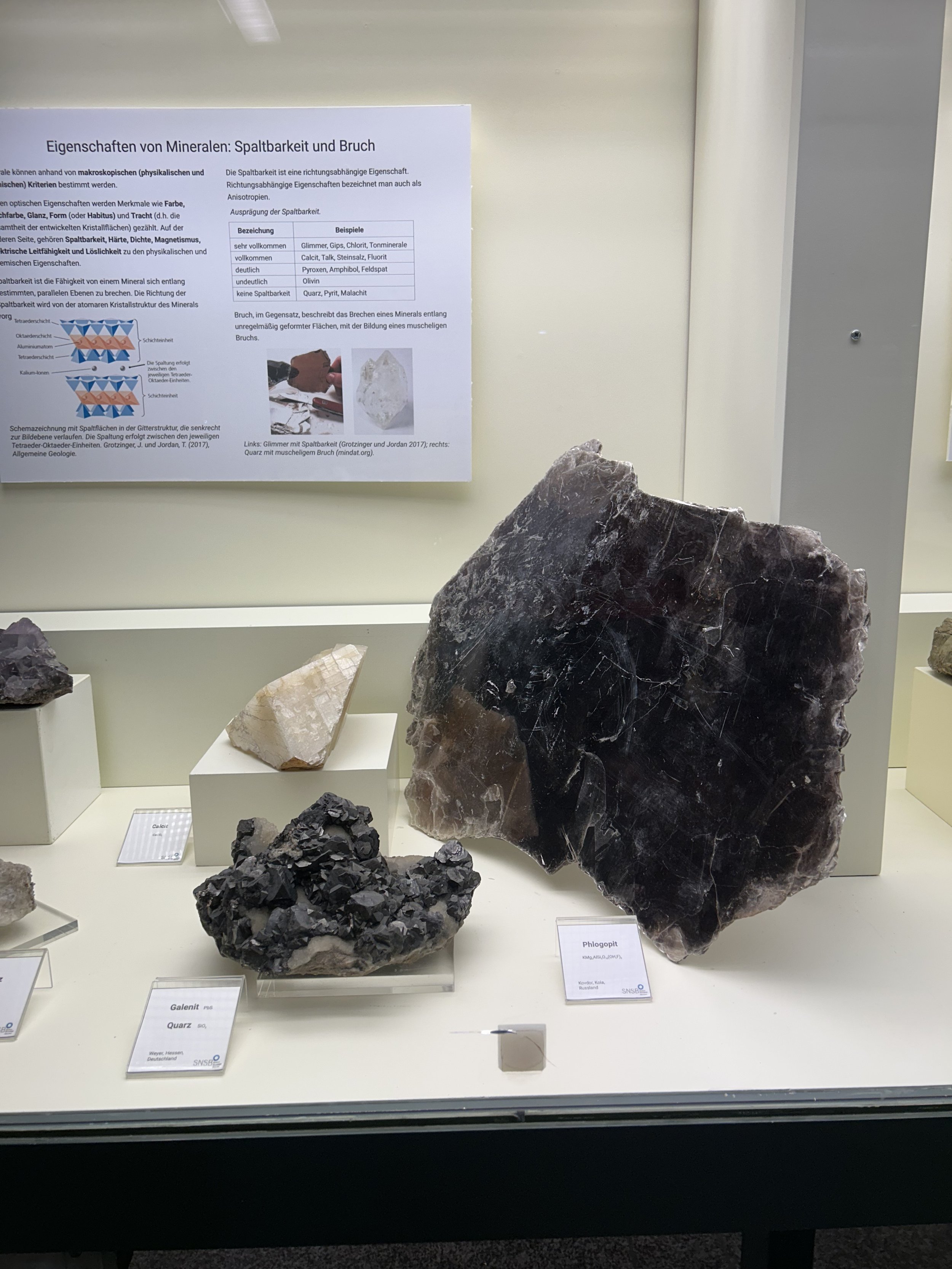 The largest piece of Mica I think i've ever seen in a collection thus far. Mineralogy Museum Munich.