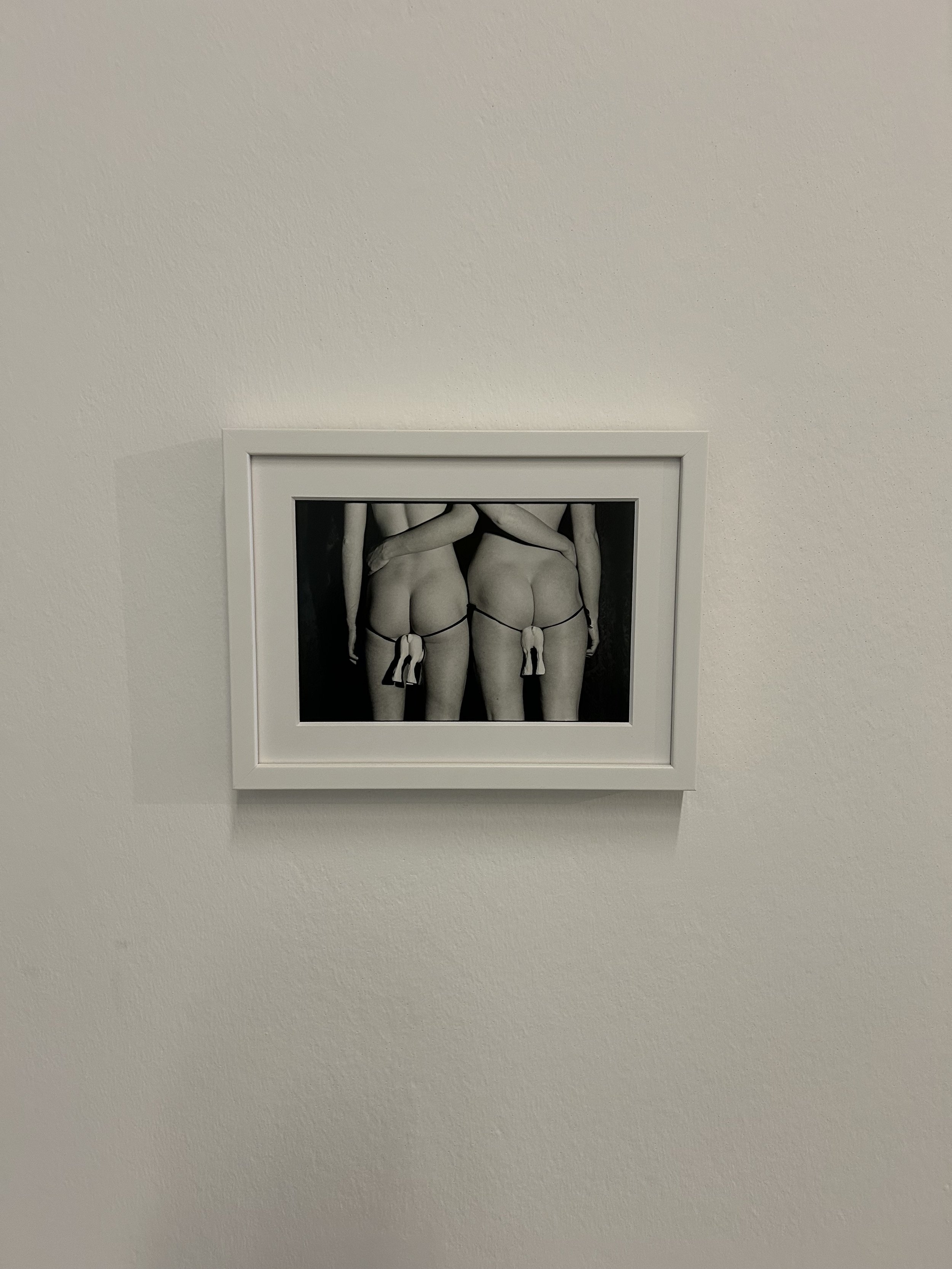 Work from the Rose English exhibtion at the Museum de Moderne.
"Begin Suddenly in Splendour. ROSE ENGLISH: Performance, Presence, Spectacle"