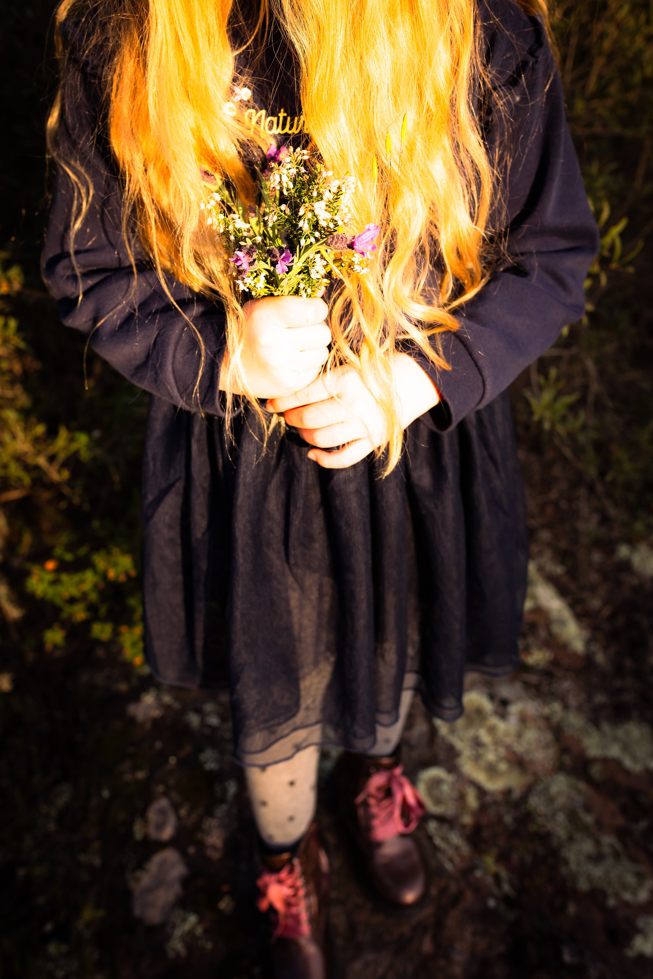 photographe solliès.jpg