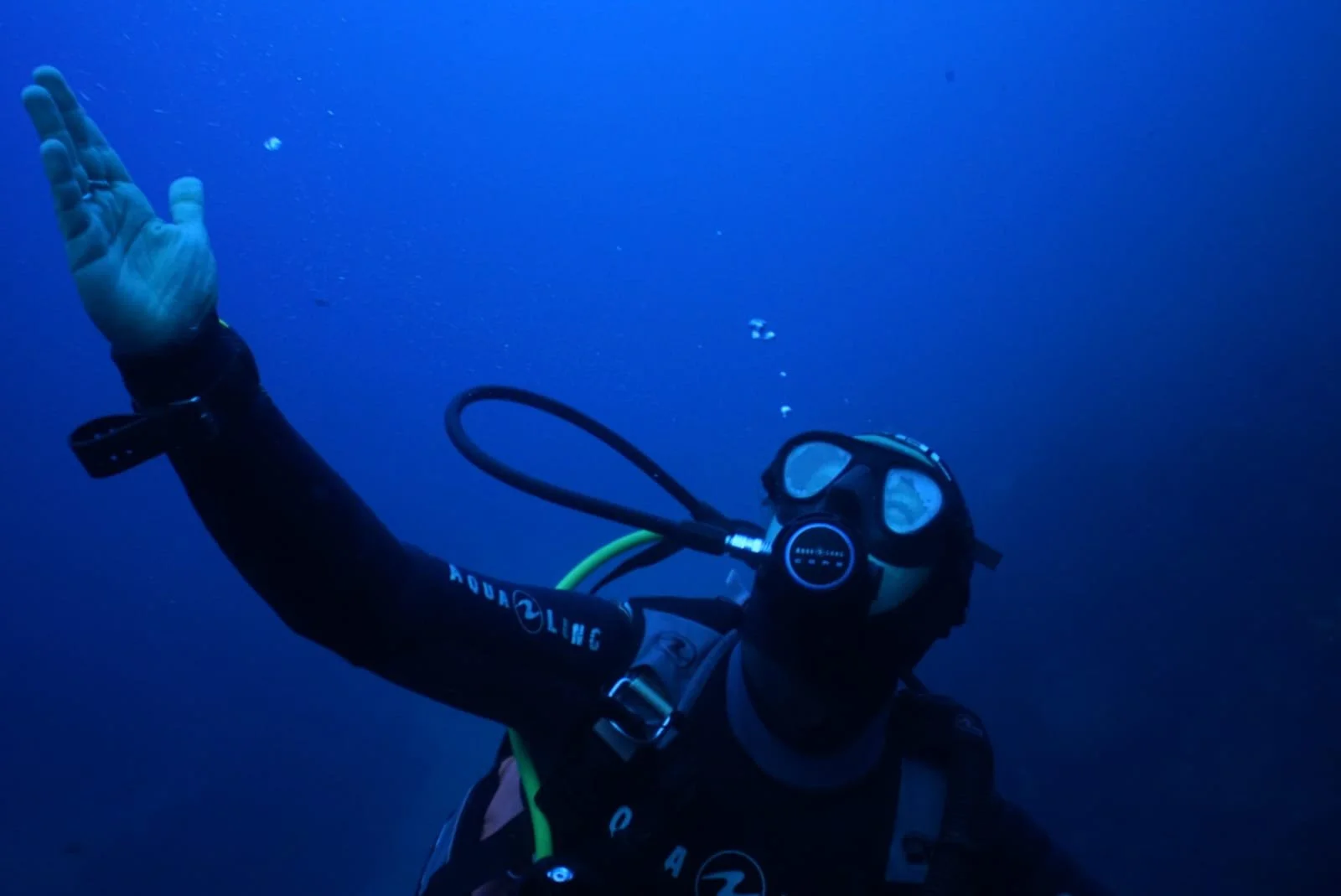 Ellie Selley Scuba Diving