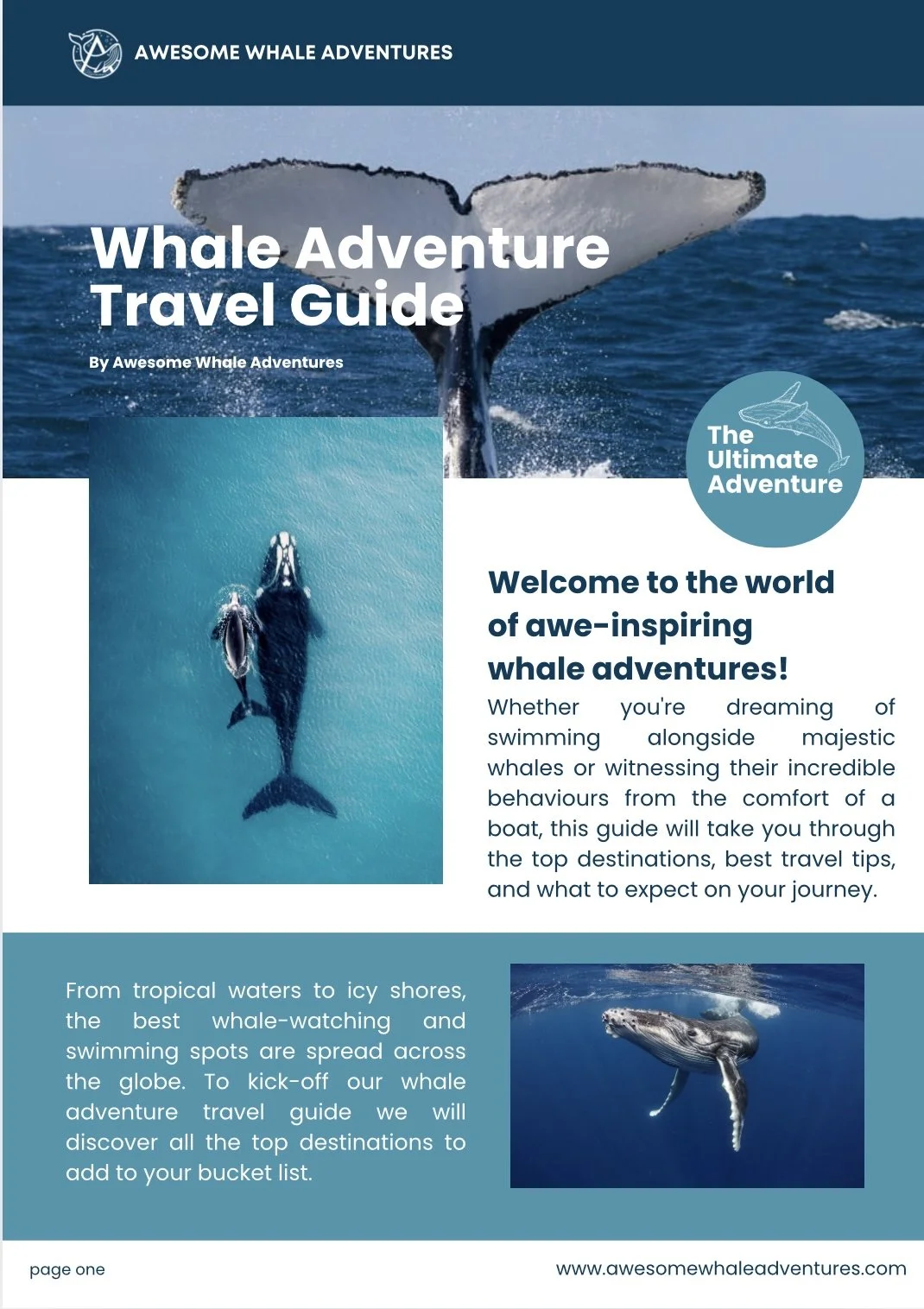 Promotional flyer for "Awesome Whale Adventures" featuring images of whales. It includes a header "Whale Adventure Travel Guide" and text about swimming with whales and whale-watching. The flyer offers travel tips and top destinations for whale experiences.