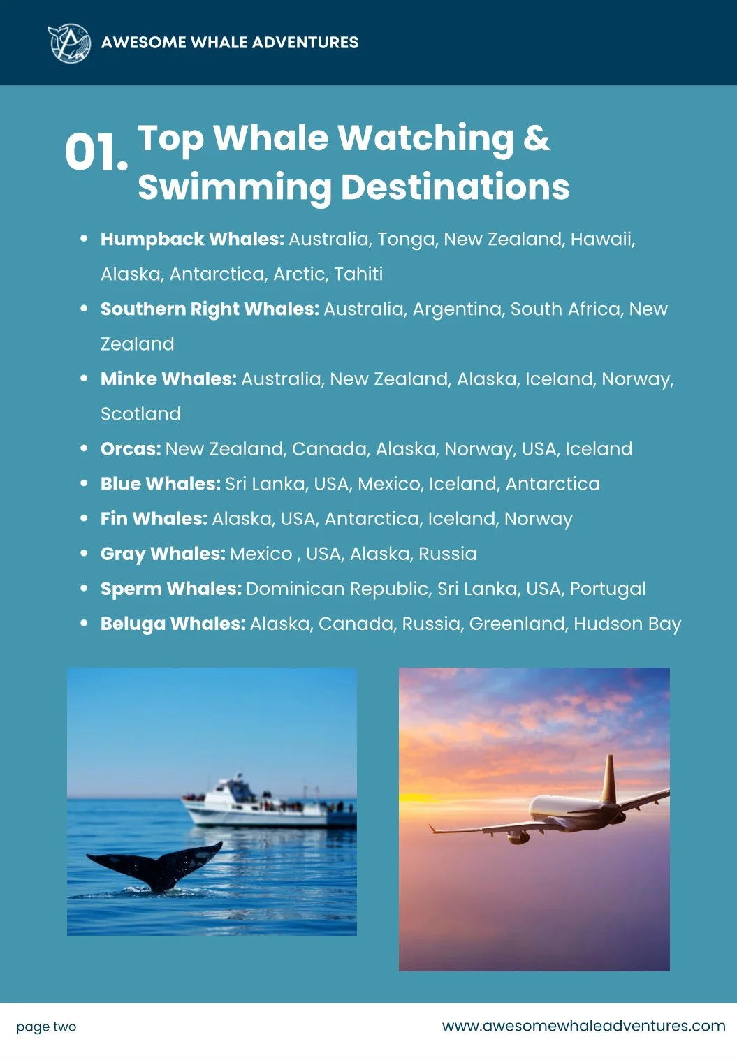 Brochure page from "Awesome Whale Adventures" listing top whale watching and swimming destinations.