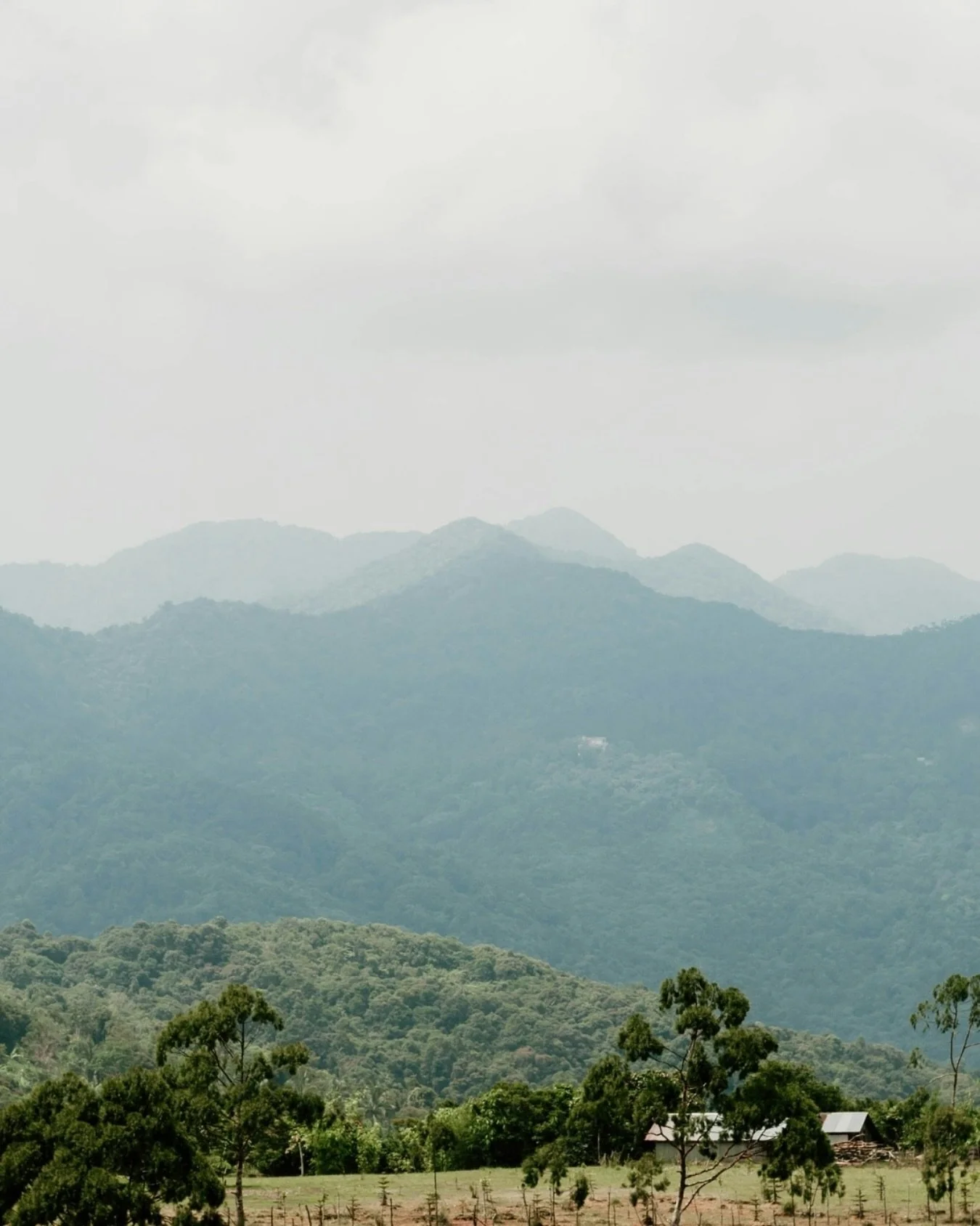 From the mountains of the Philippines to your mug ☕