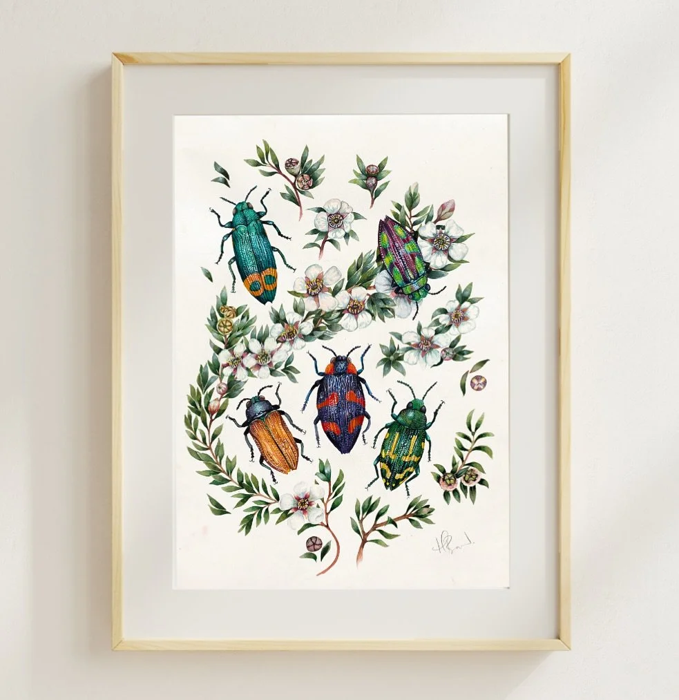 Jewels 

#jewelbeetles