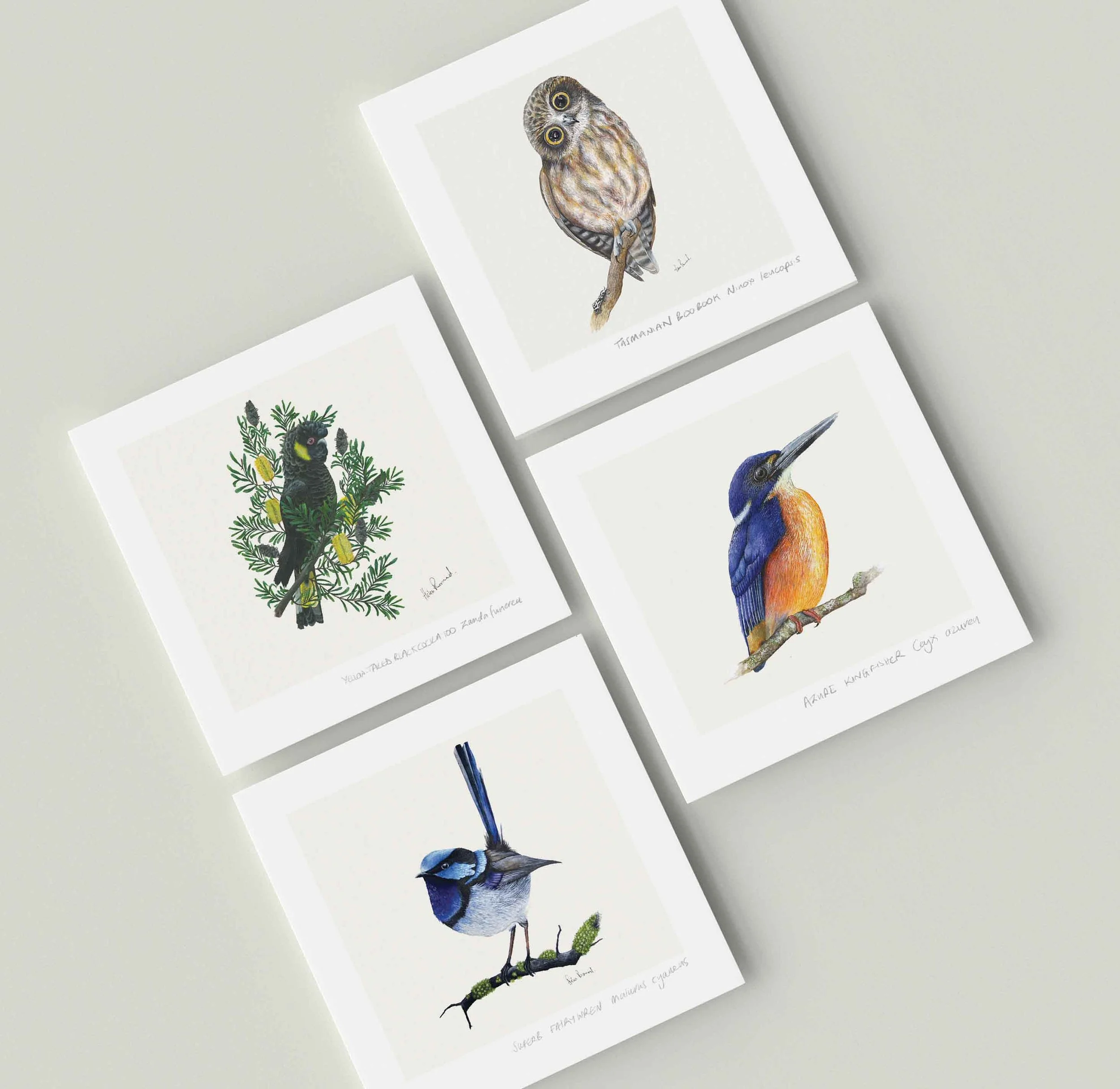 Bird - cards 1 sq.jpg