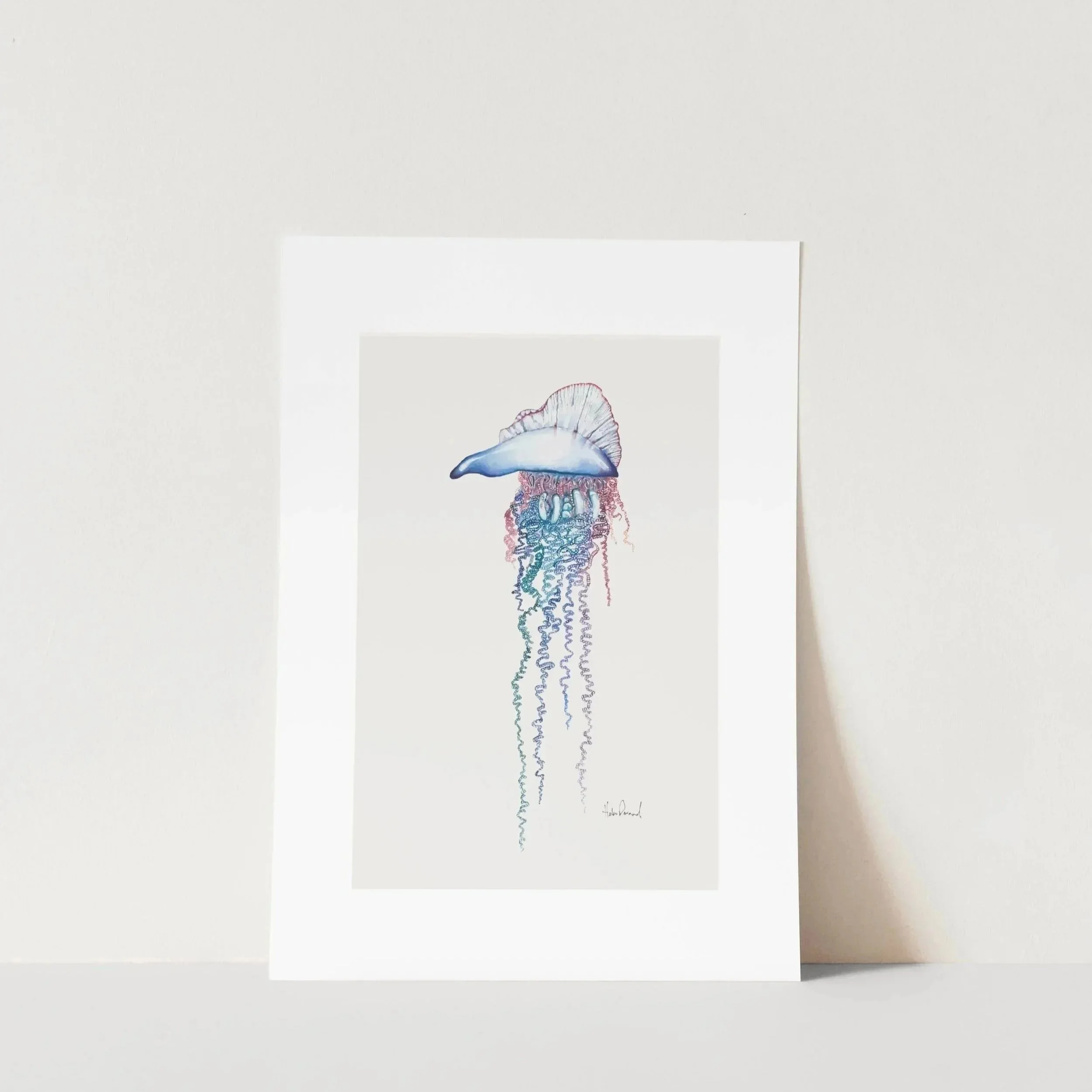 Portuguese Man Of War Print