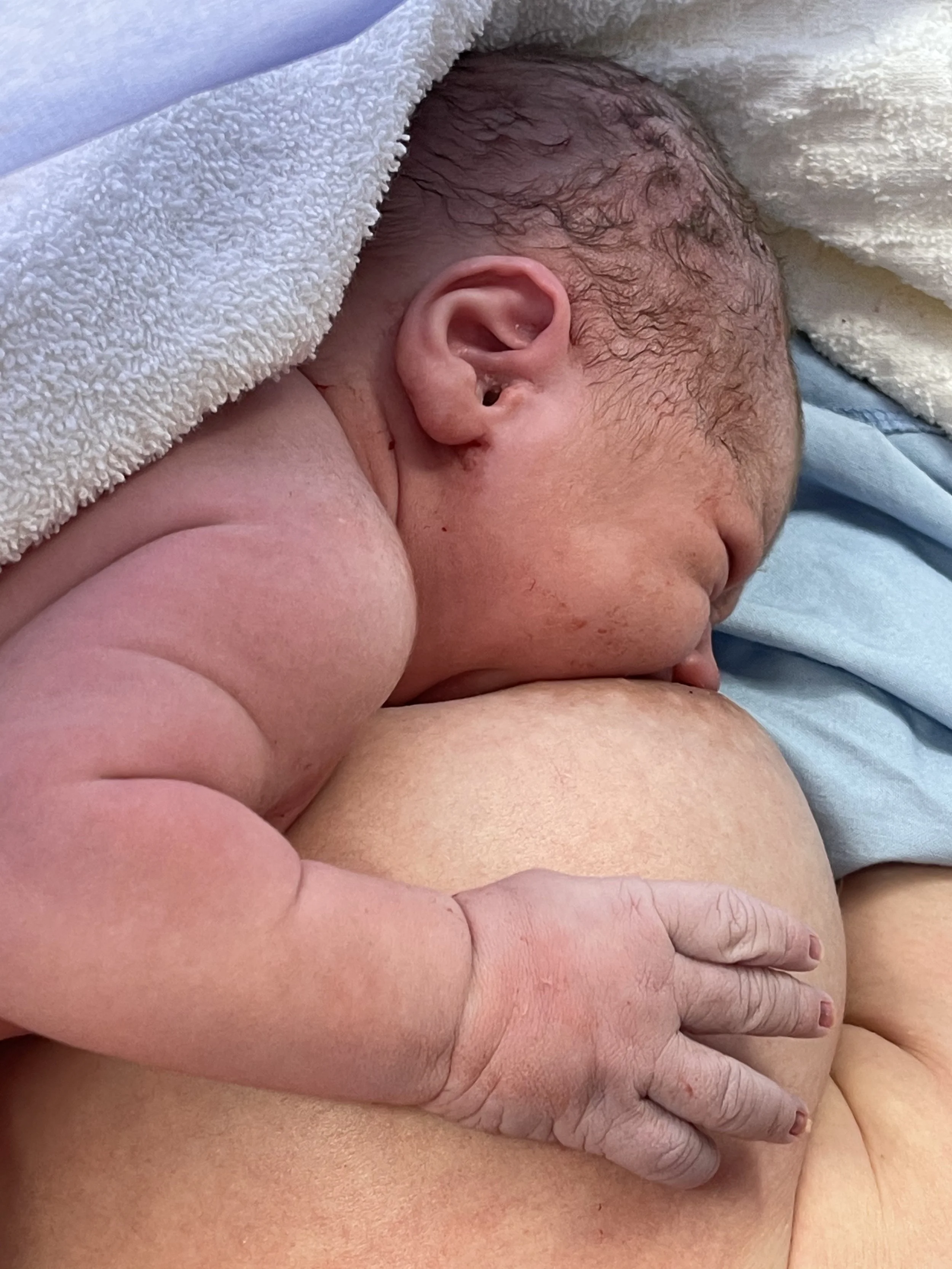 breastfeeding support and lactation support