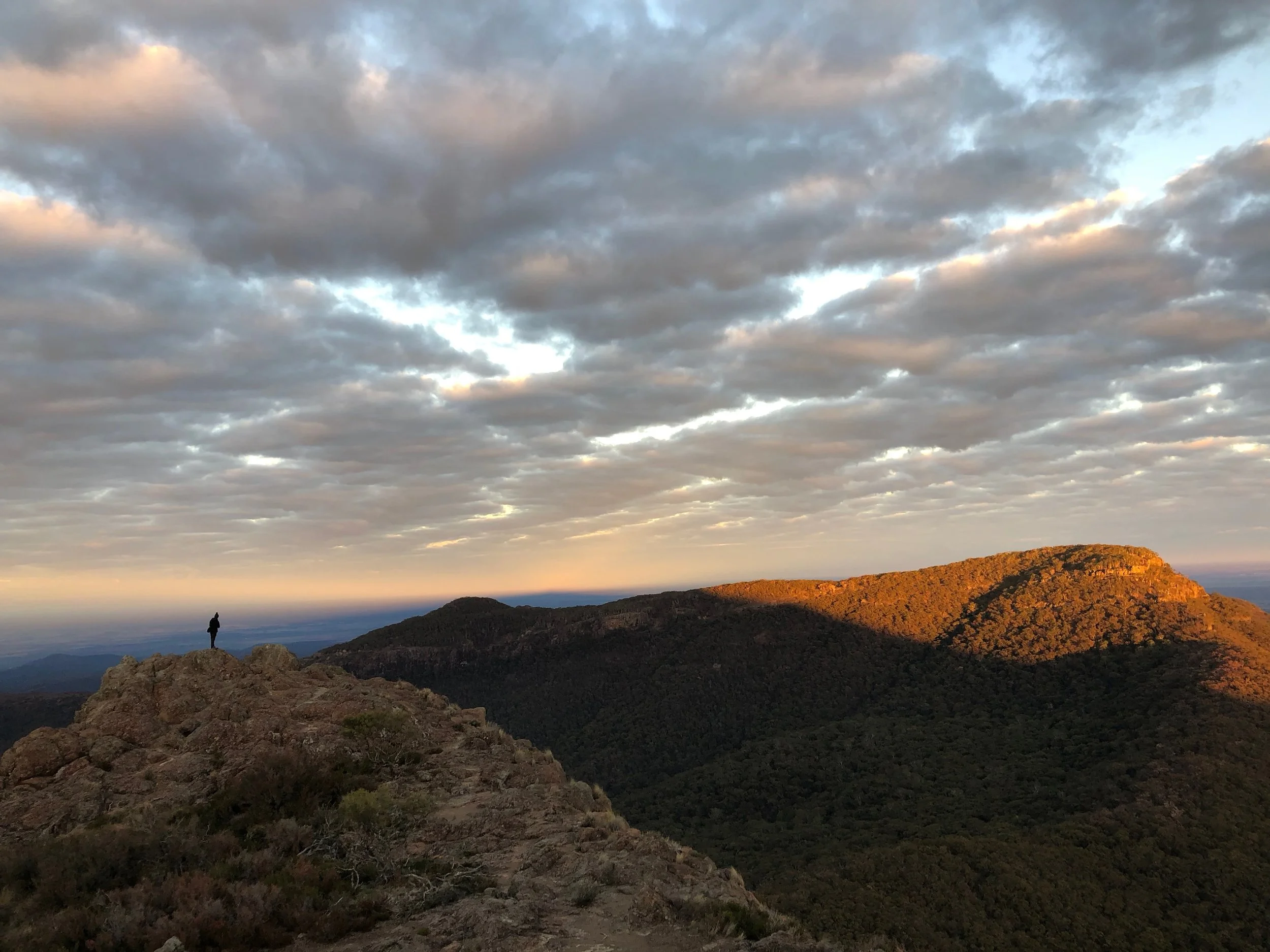 mental health GP support perinatal