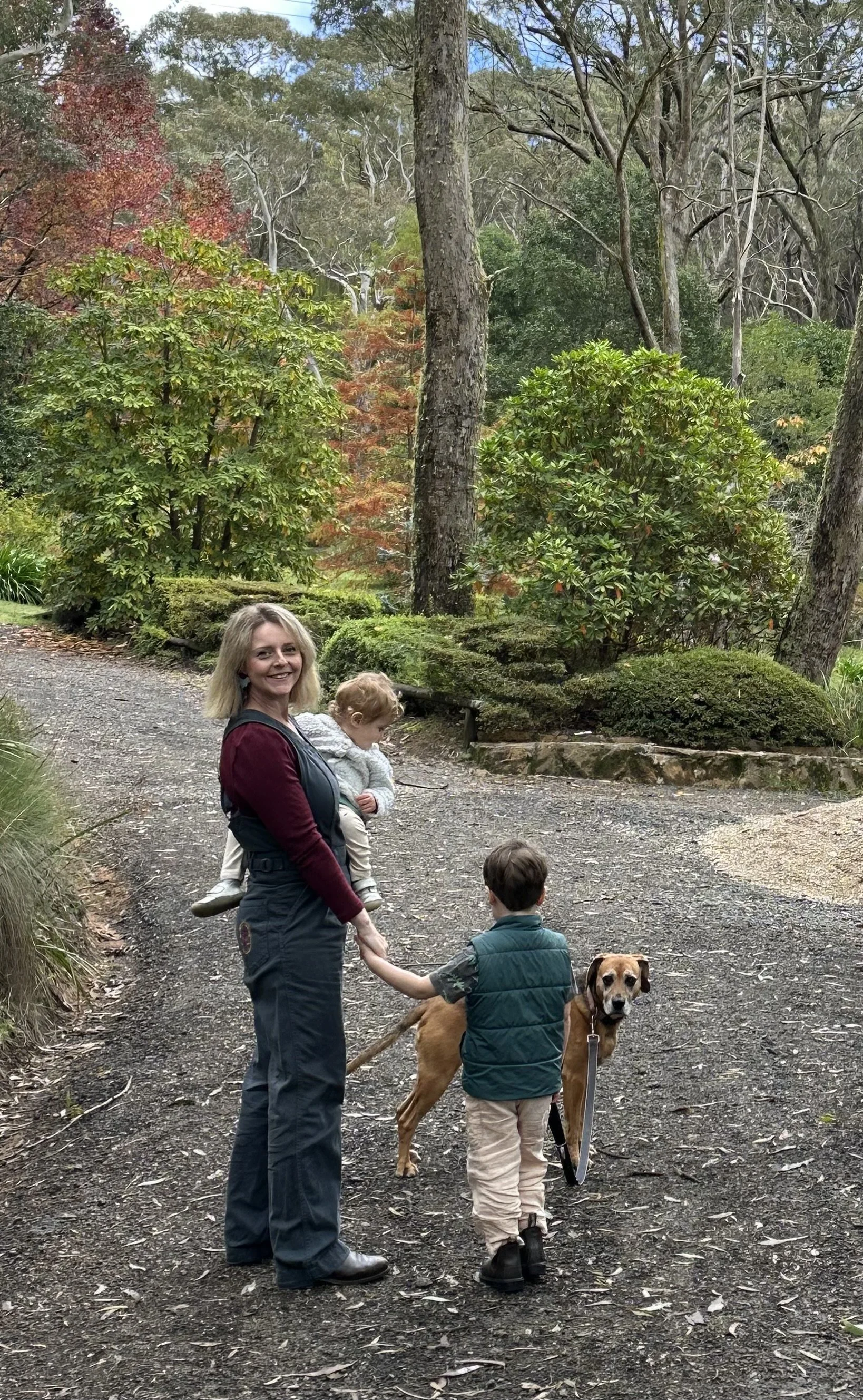 breastfeeding medicine doctor