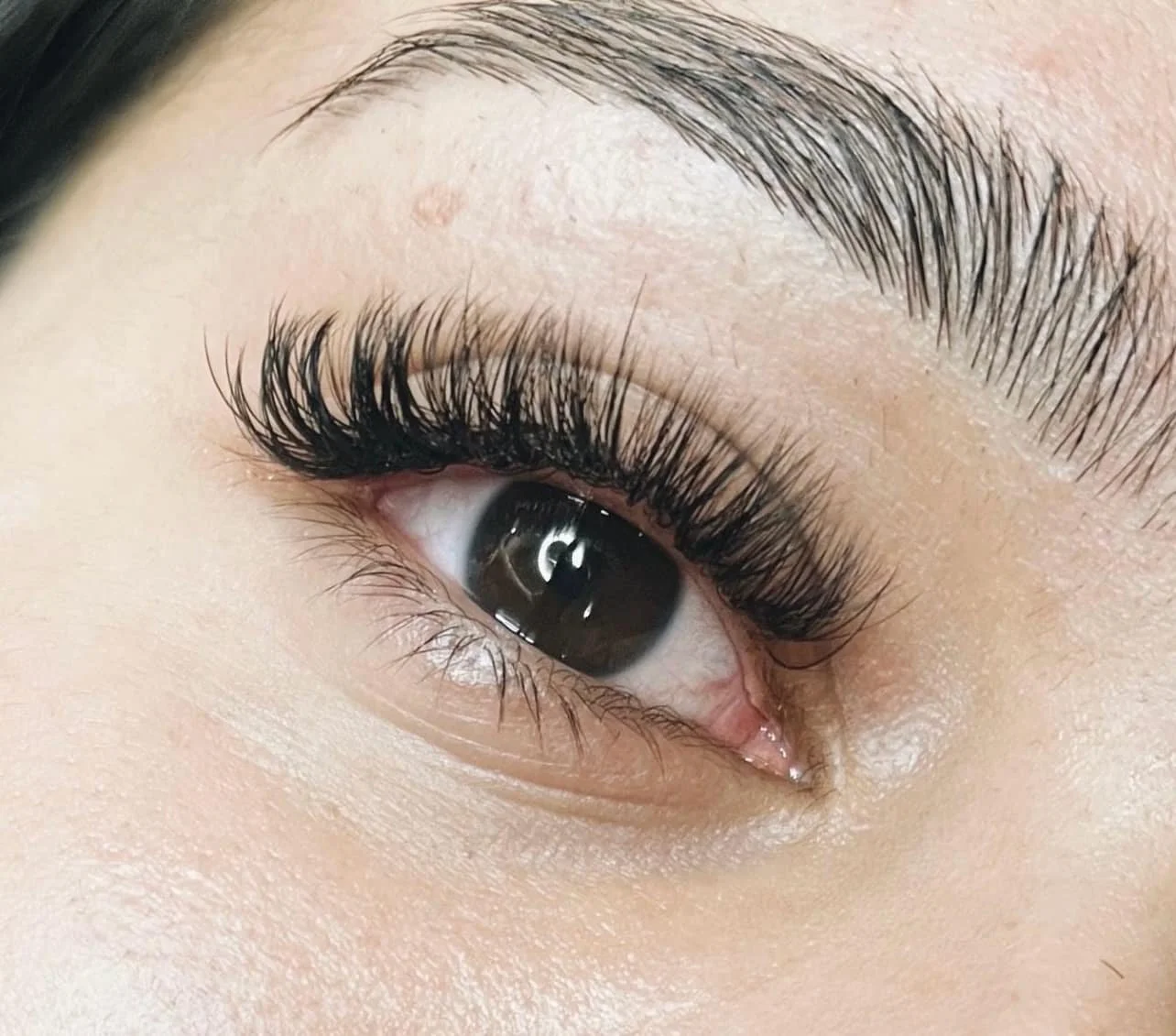 Close-up of a human eye with long curled eyelashes and well-groomed eyebrow.