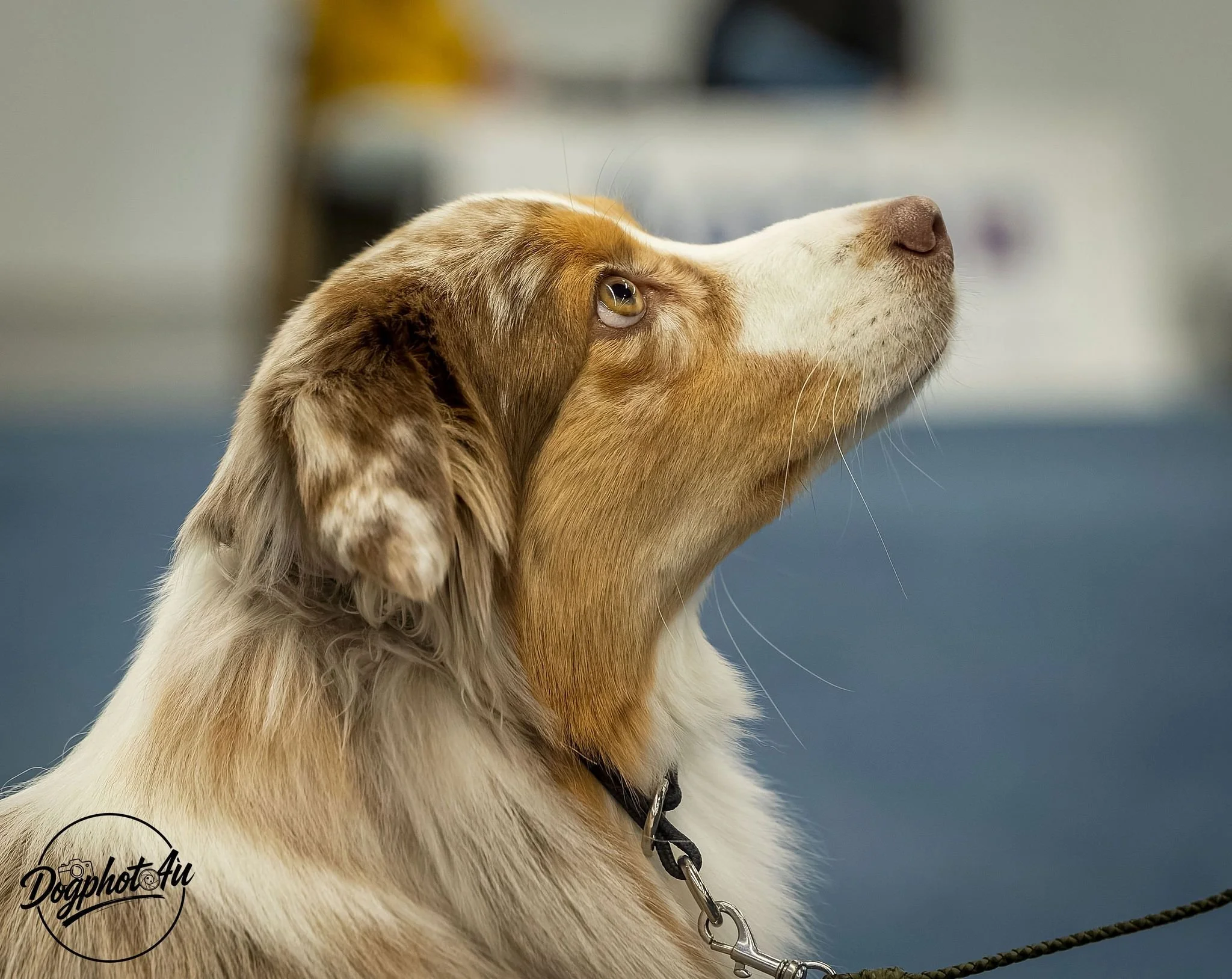 WhatsApp Image 2026-01-02 at 19.51.32.jpeg