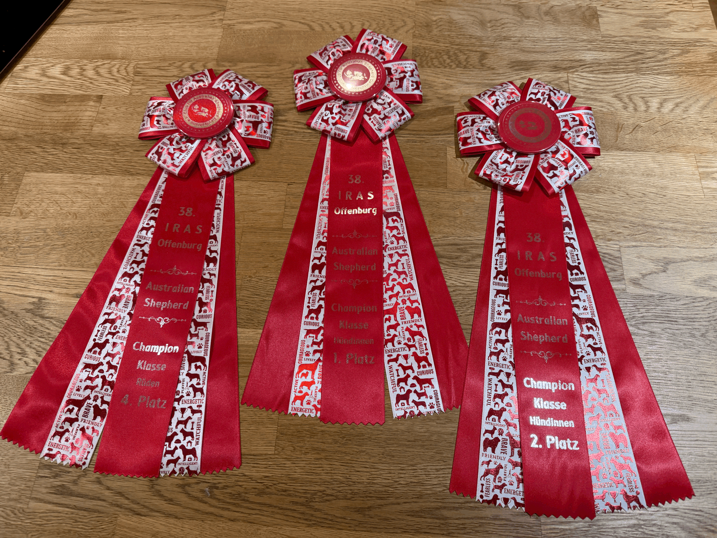 38. Ortenau-Schau in Offenburg (14.03-2026)