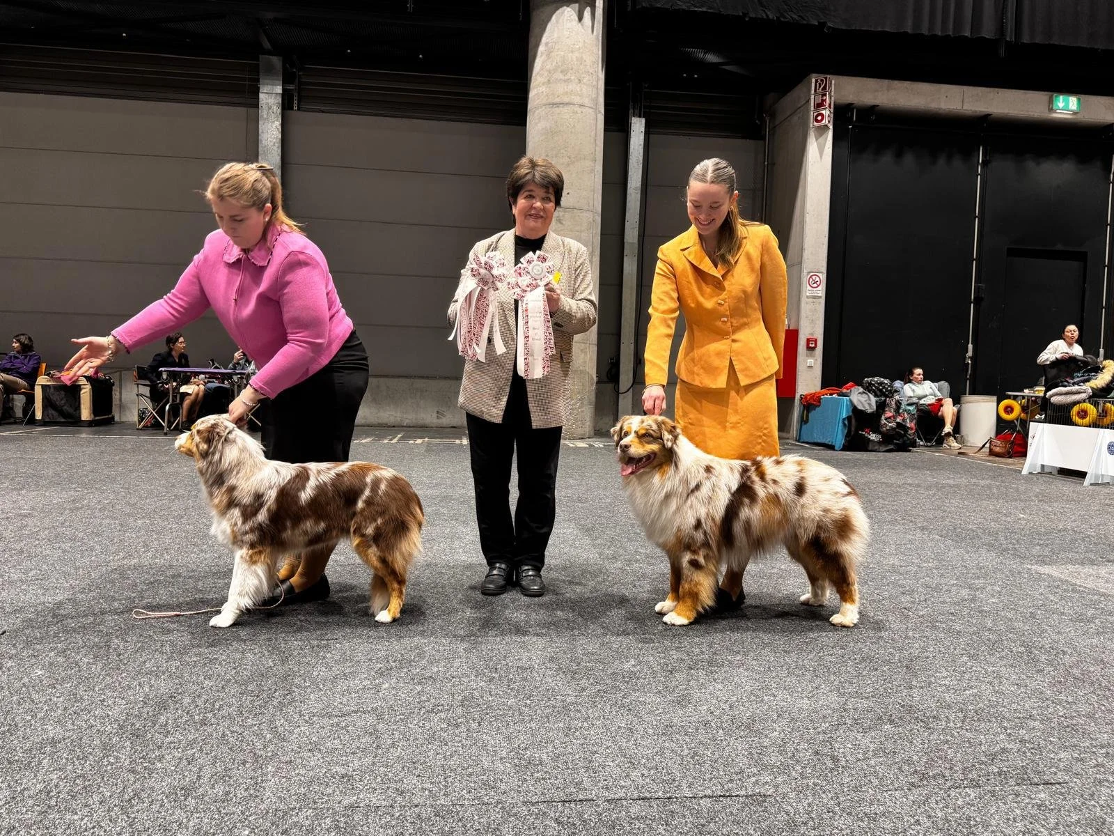 39. Ortenau-Schau in Offenburg (15.03.2026)