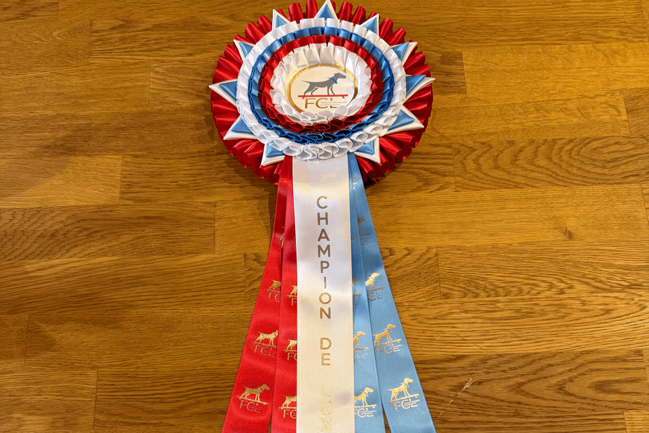 117. International DogShow - Luxembourg (05.04.2026)