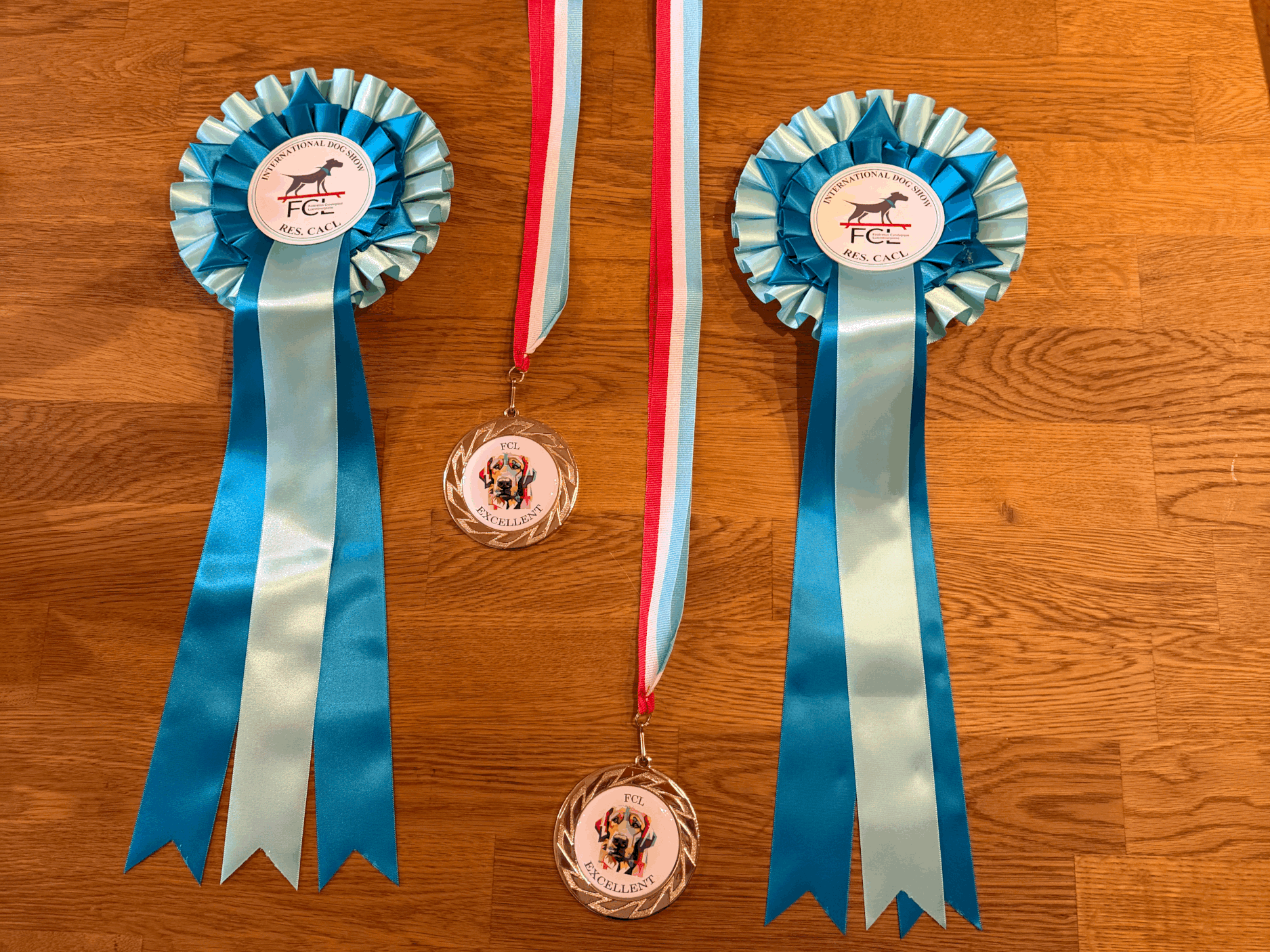 116. International DogShow Luxembourg (04.04.2026)