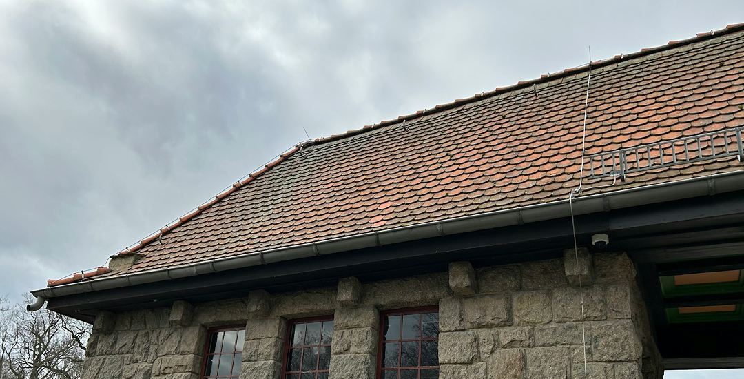 The Role of Gutter Maintenance in Preventing Mold and Mildew Growth
