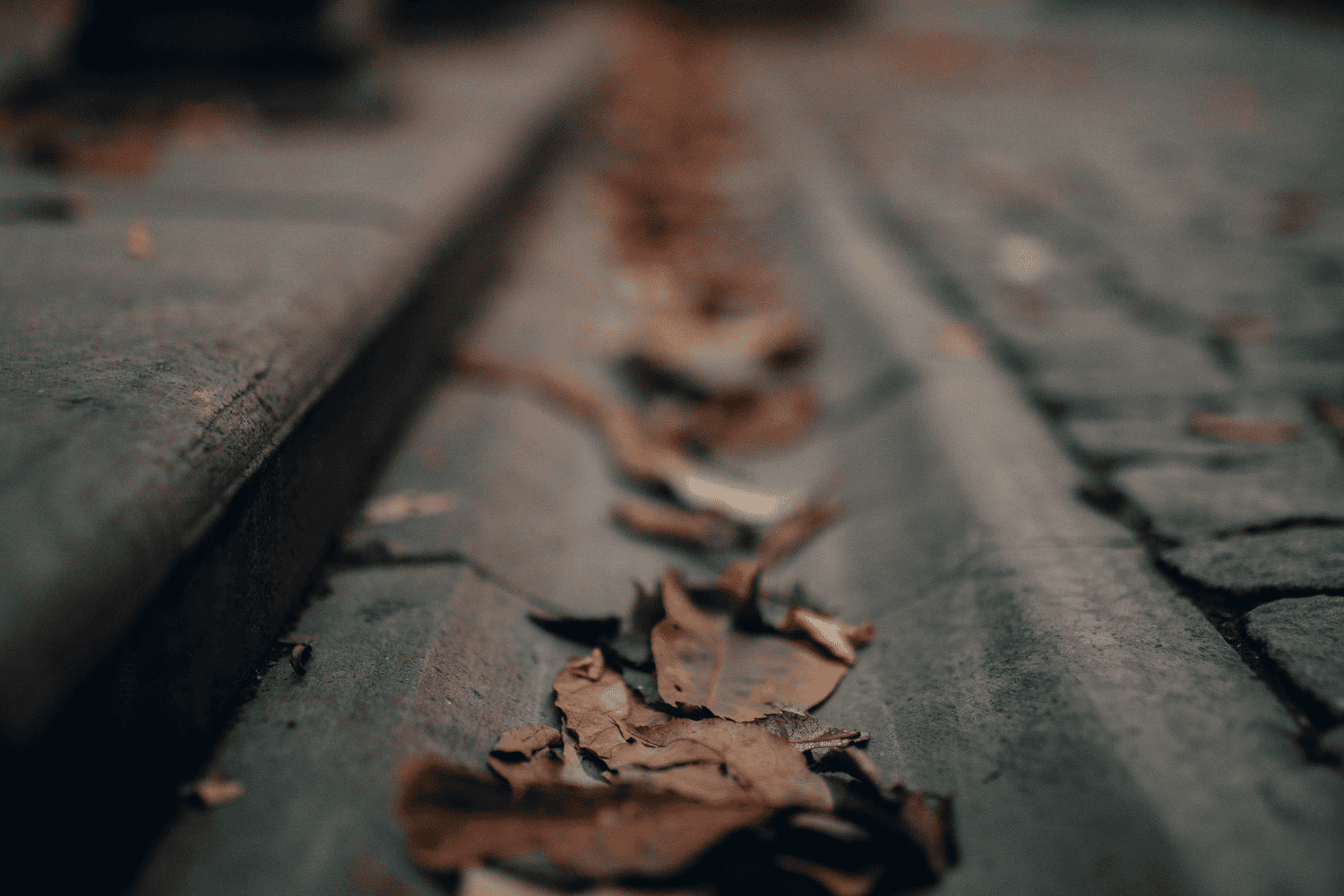 Why Professional Downspout Extension Is Key to Preventing Foundation Cracks