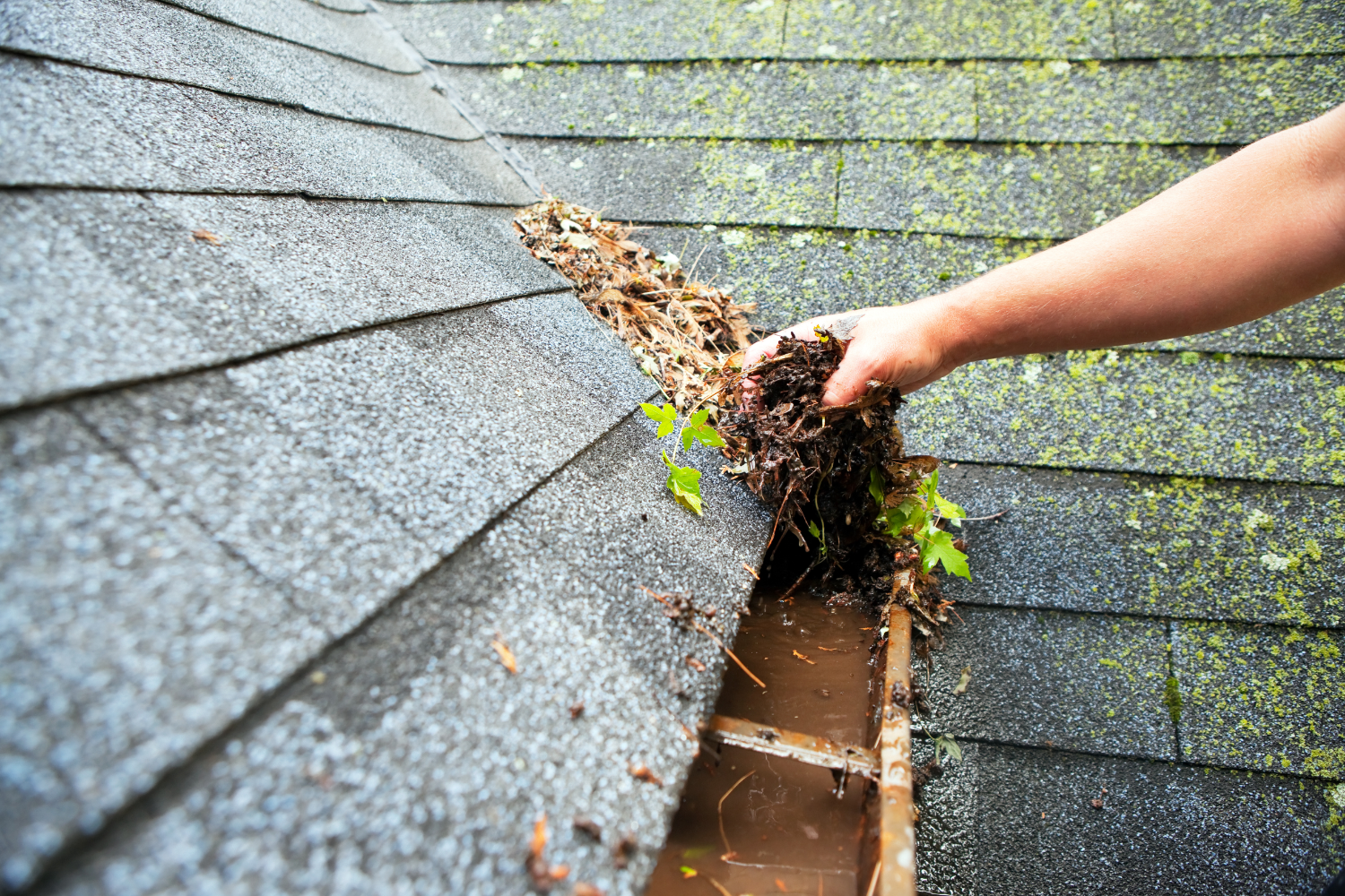 Eavestrough Cleaning Safety: Why DIY Isn’t Always Worth the Risk