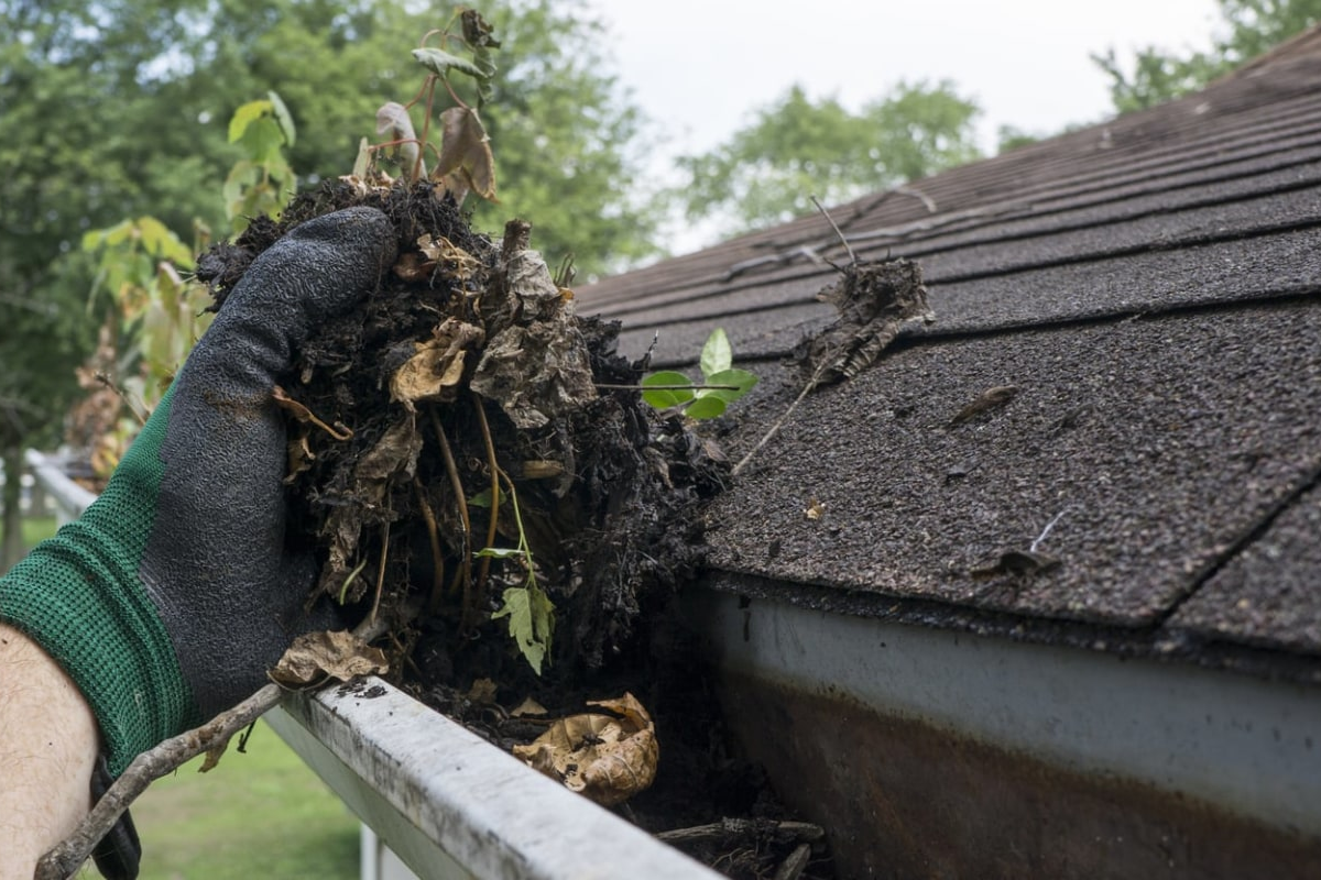 How Seasonal Debris Accumulates in Gutters Throughout the Year