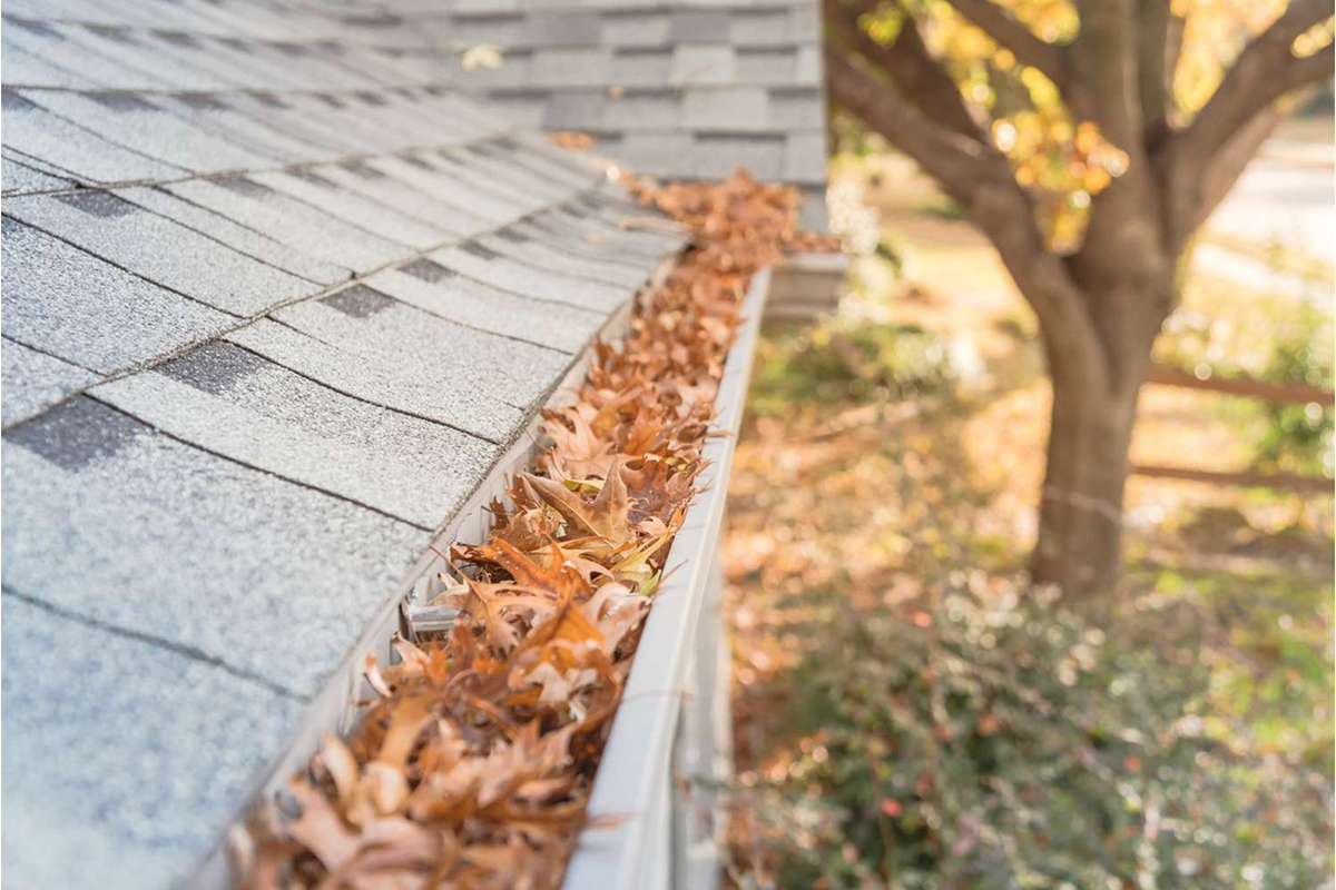 Why Autumn Is the Best Time to Evaluate Your Entire Roof Drainage System