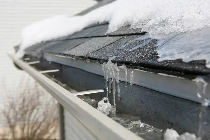How to Assess Exterior Water Management Before Buying a Home in Calgary and Alberta