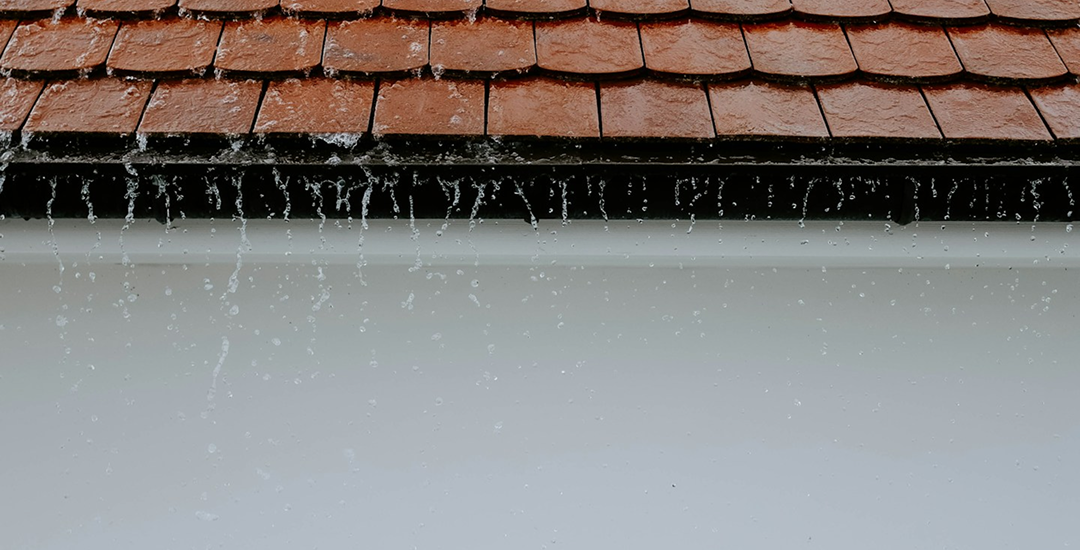 The Role of Gutter Maintenance in Preventing Mold and Mildew Growth ...
