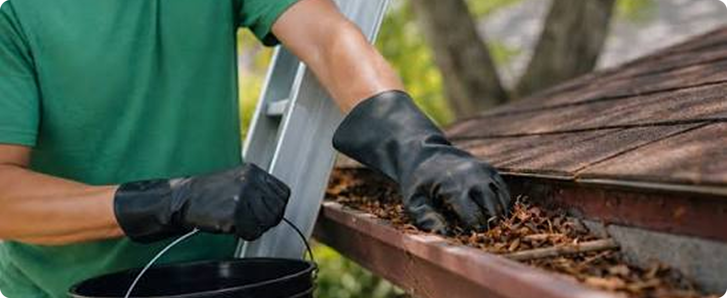 A person wearing black gloves and a green shirt is pulling out insects from a wooden surface in an outdoor setting.
