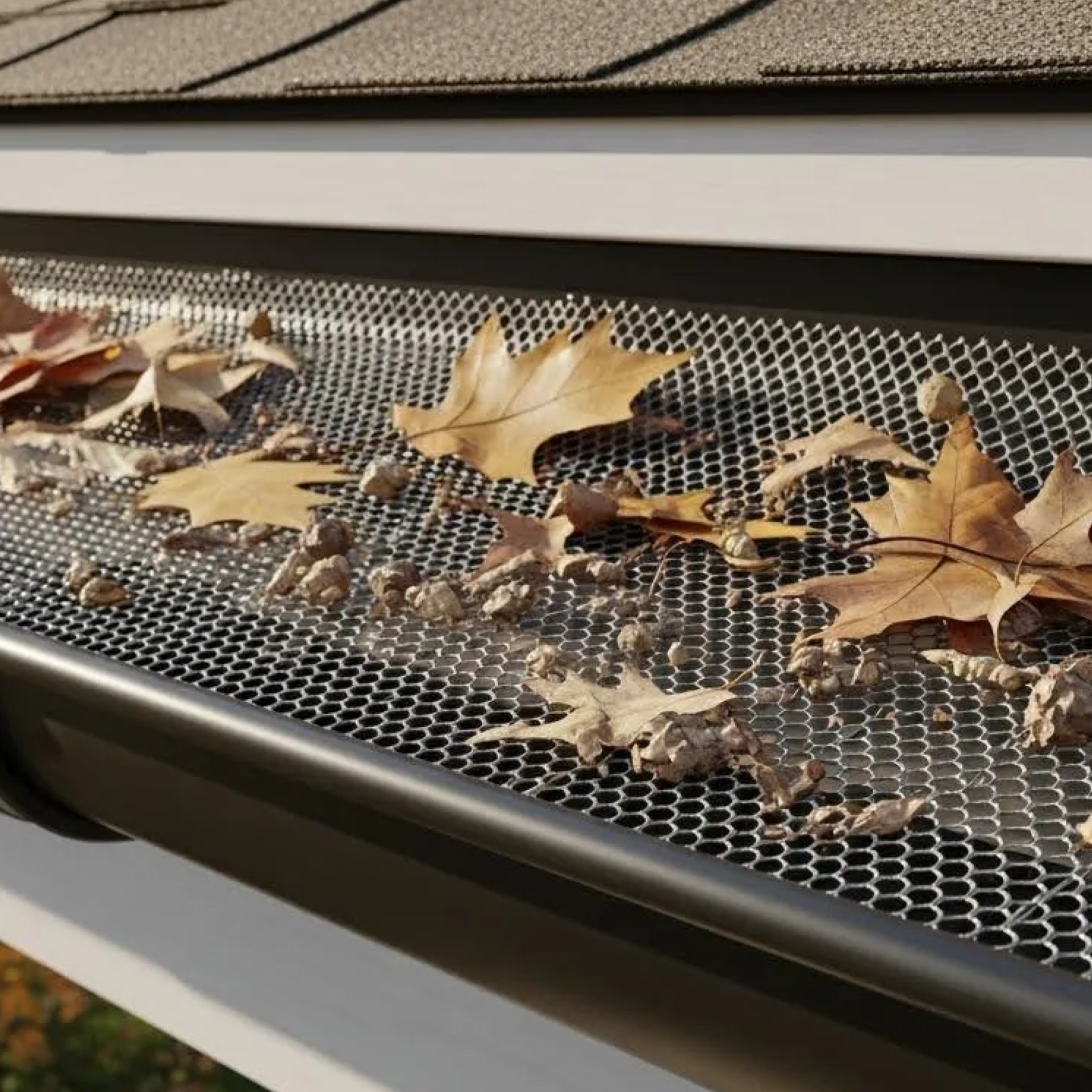Close-up of fallen autumn leaves and acorns on a metal mesh surface.