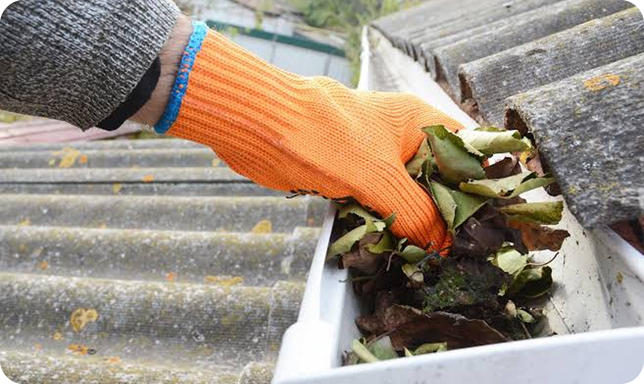 Person wearing black and gray sweater with orange gloves cleaning leaves from a white container on a bench outdoors.