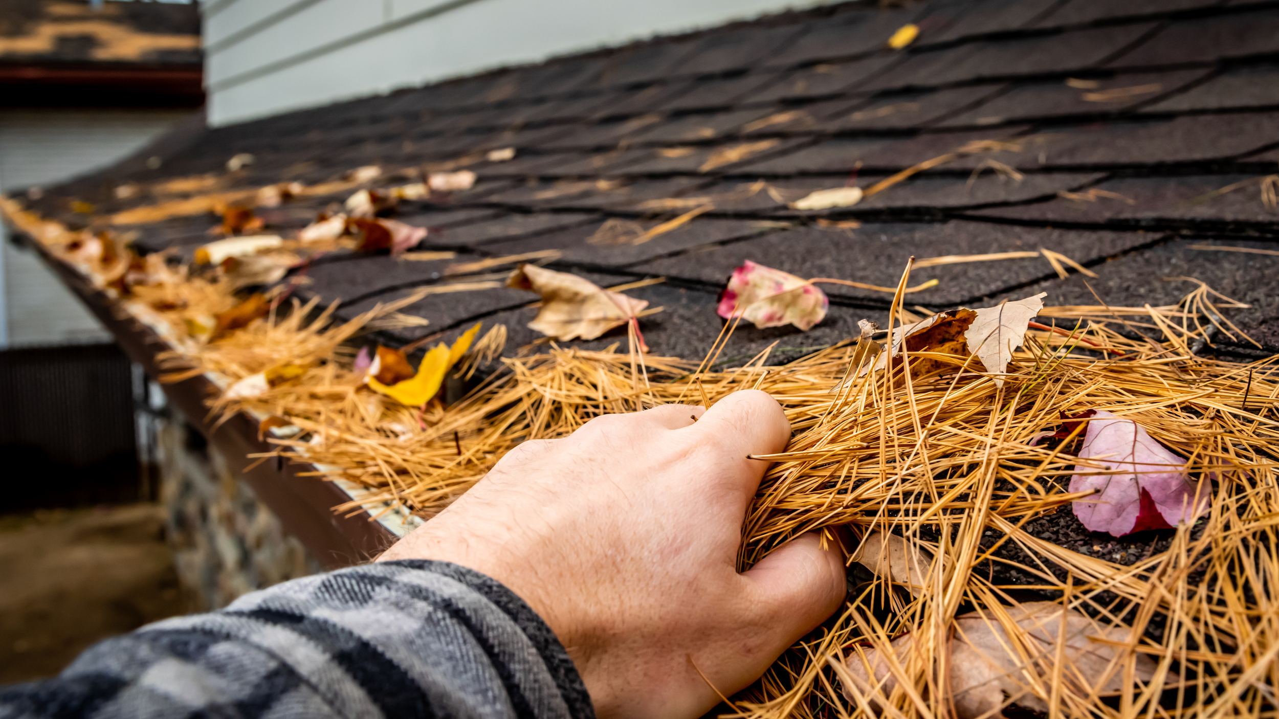 Person working on a roof with autumn leaves and pine straw scattered on the shingles.