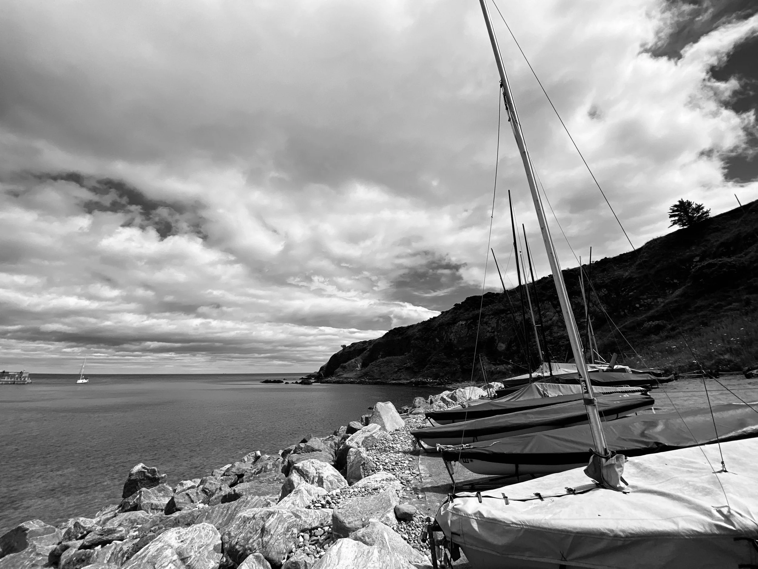 IMG_2409.JPG