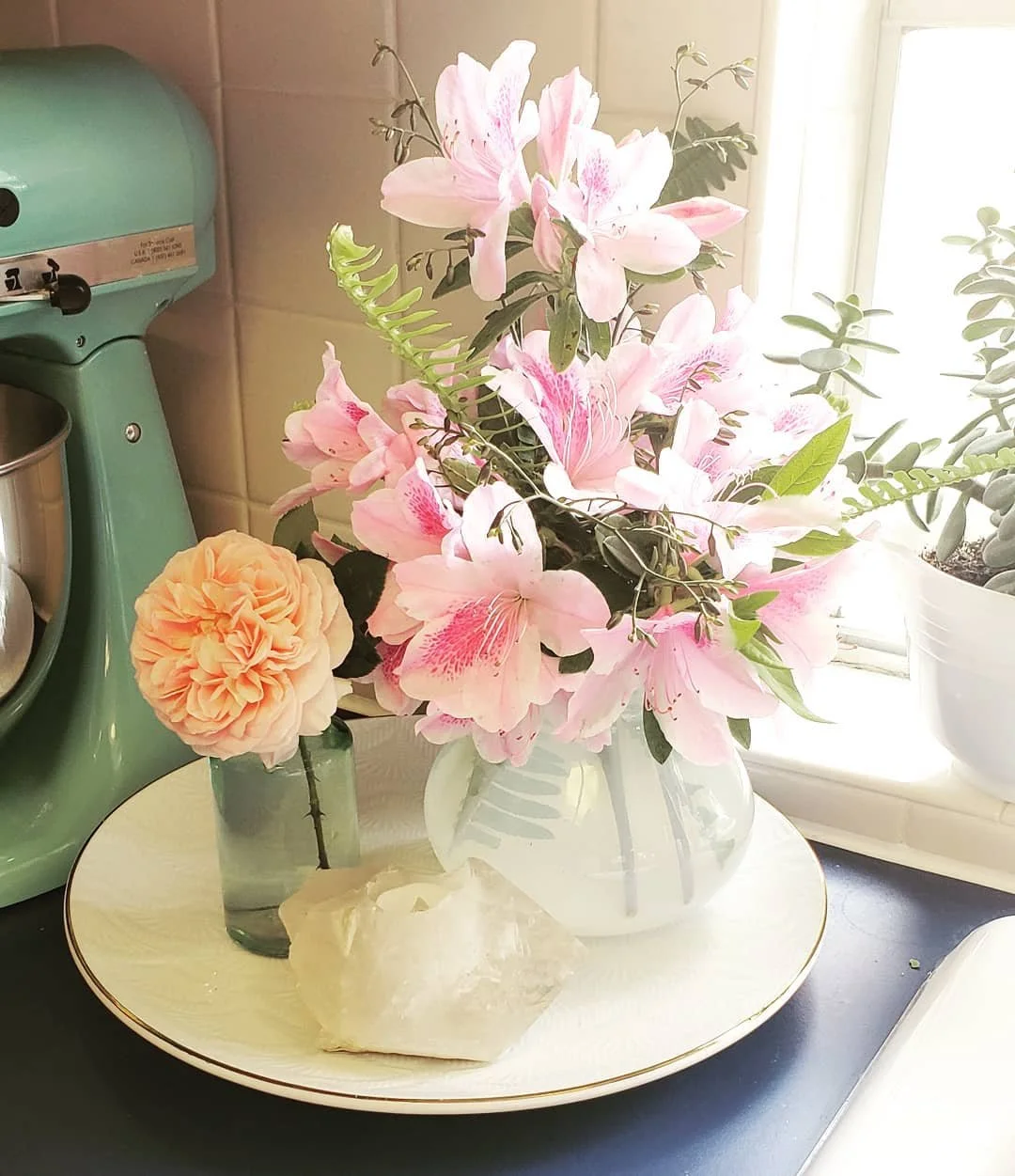 &quot;We might think we are nurturing our garden, but of course it's our garden that is really nurturing us.&quot; - Jenny Uglow
Cuttings from the garden today.

#azaleas #houstonazaleas #abrahamdarby #antiqueroseemporium