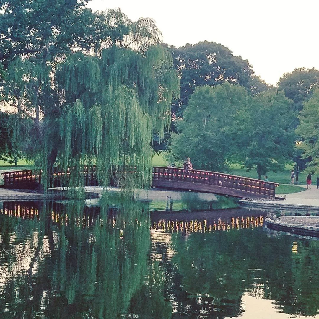 Loving Kansas City and all of its scenery. 
#kansascity #loosepark #willowtree