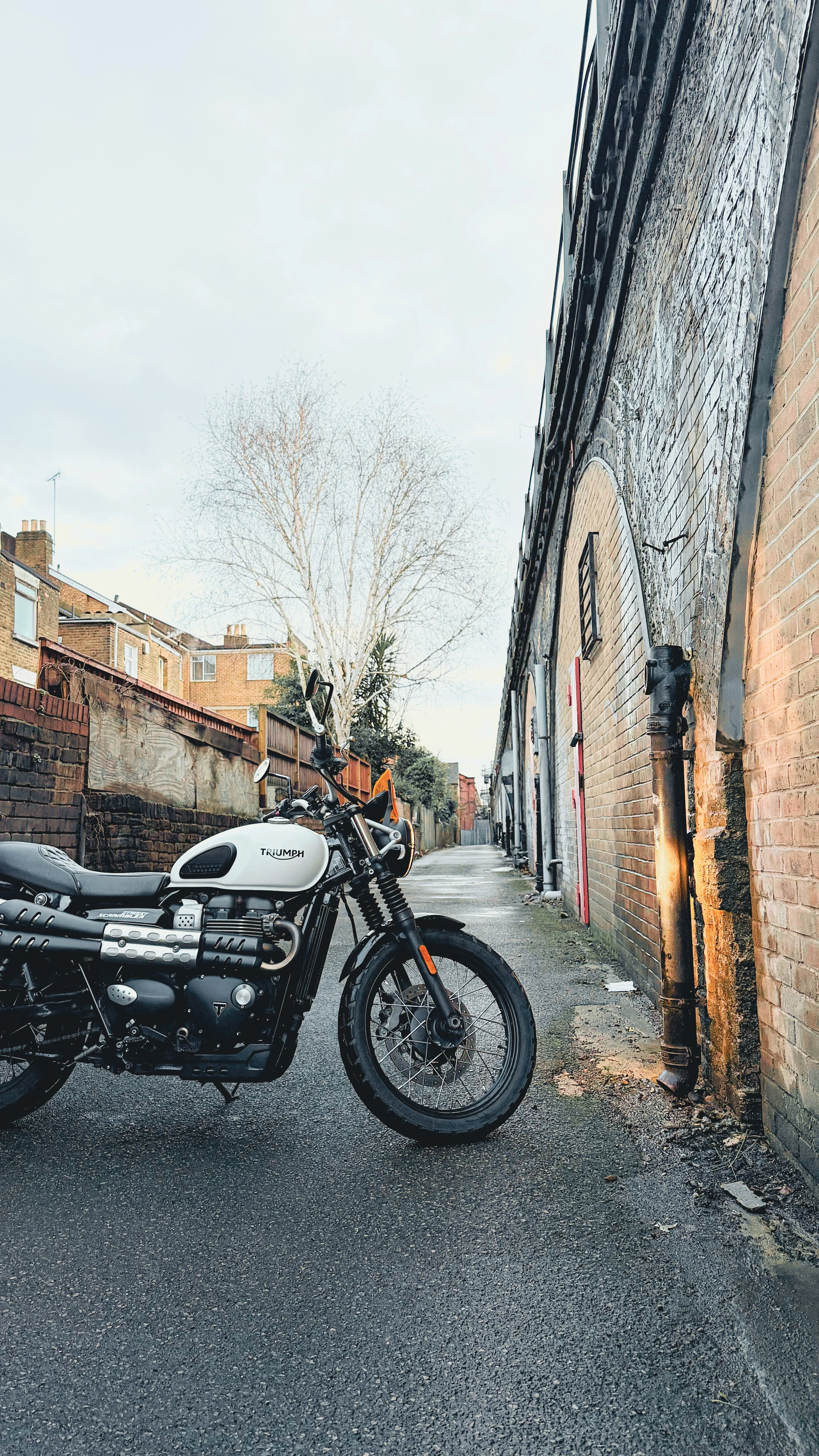 white triumph scrambler London arches