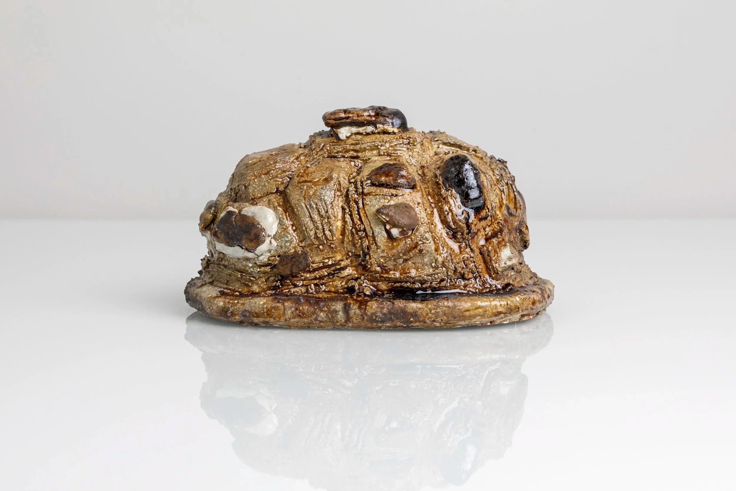 Temmoku schist rock turtle shell