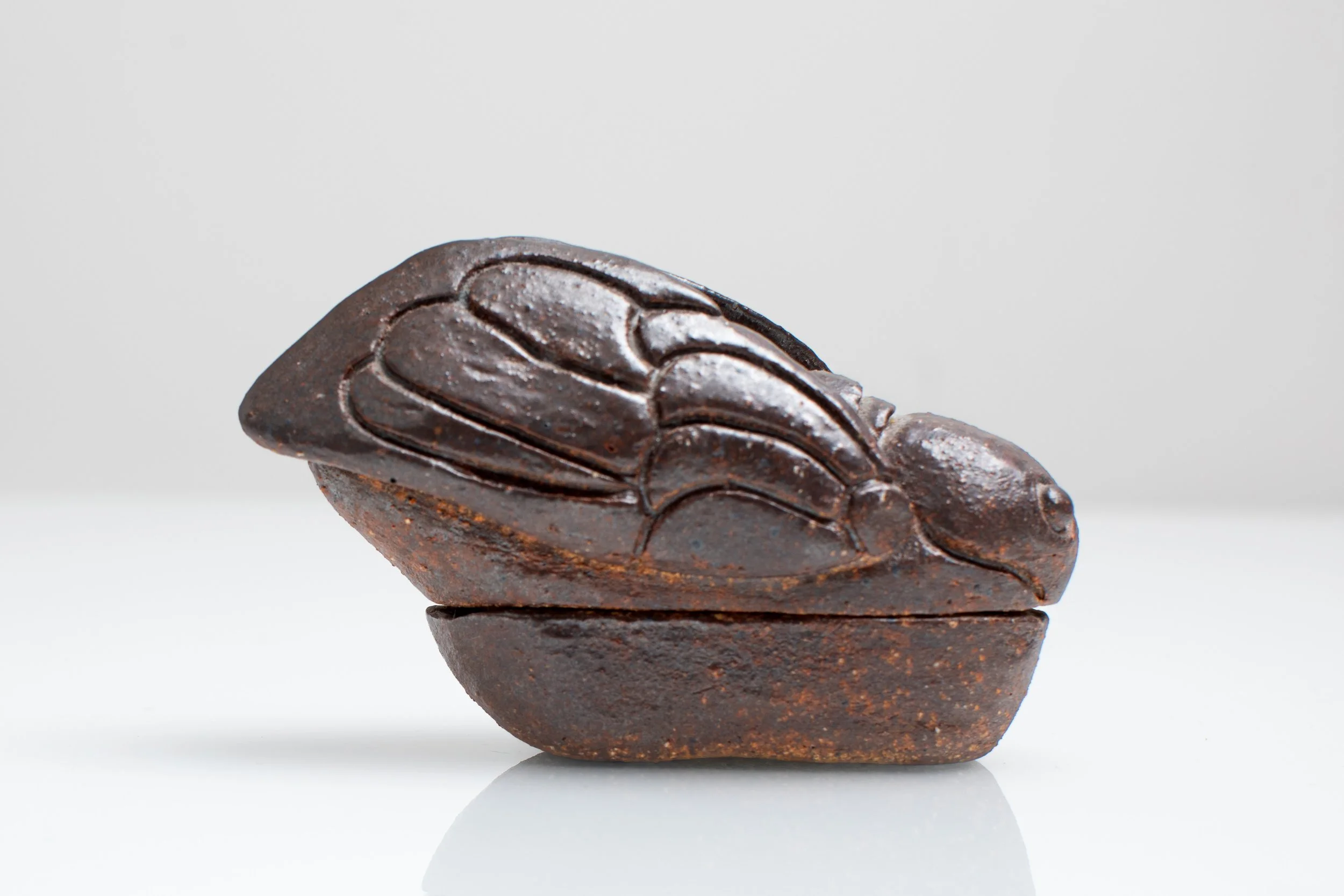 cicada lidded piece ( minmin semmi )