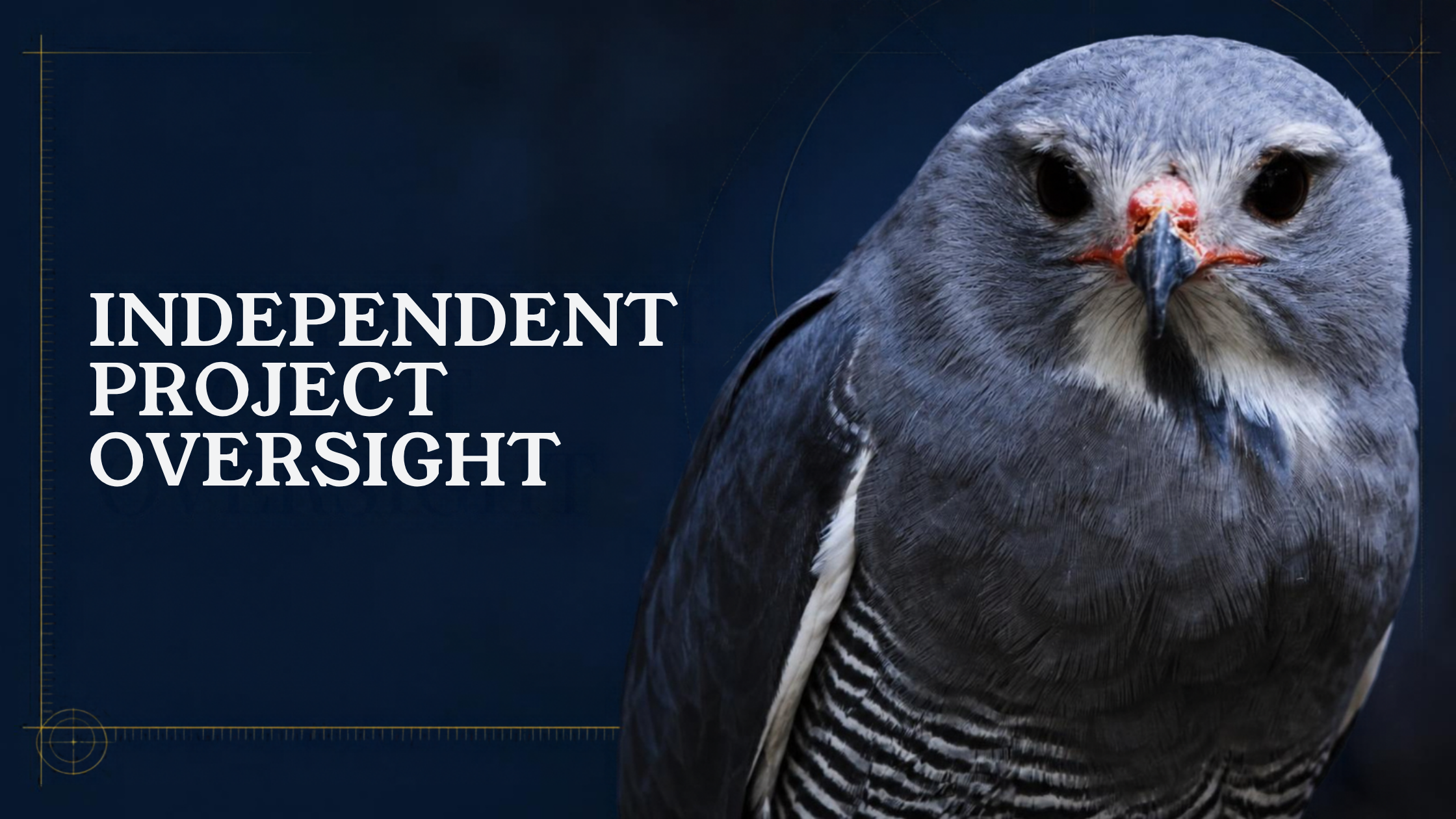 Close-up of a bird of prey's face, with black eyes, sharp beak, and detailed gray and white feathers, on a blue background with the text 'Independent Project Oversight'.