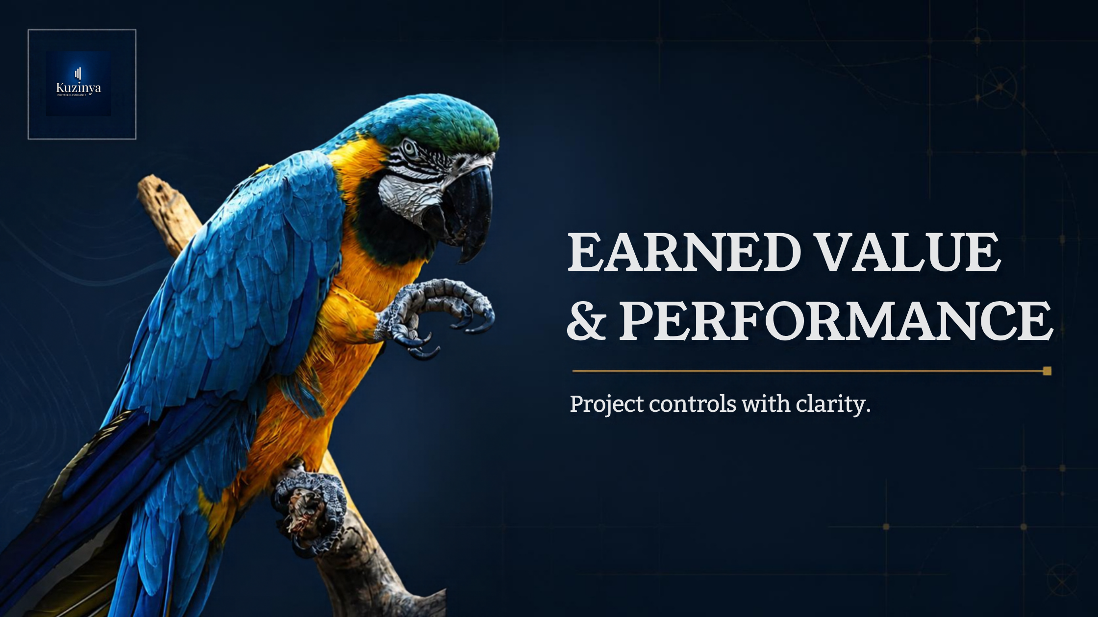A colorful parrot perched on a branch with the text 'Earned Value & Performance' and 'Project controls with clarity'.