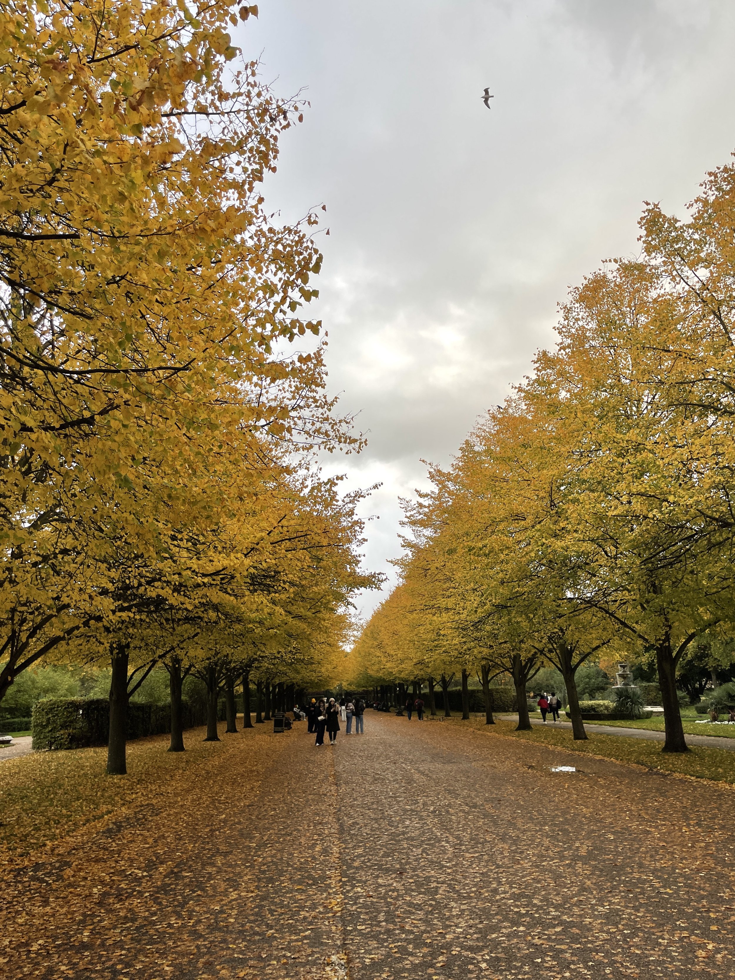 Autumn in London Bucket List