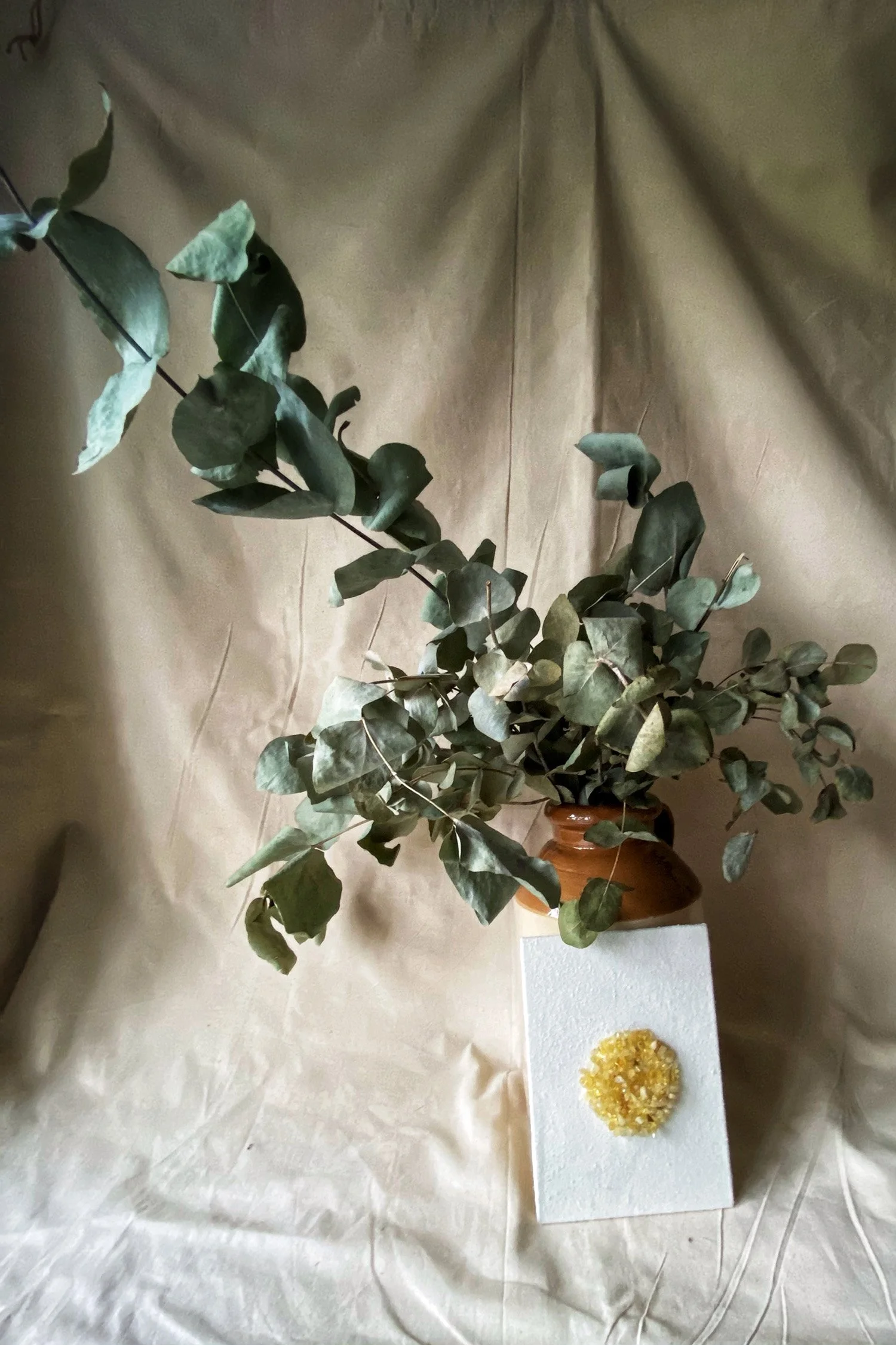 Citrine & Eucalyptus .jpg
