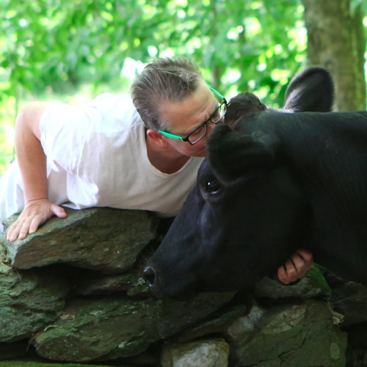 pattrice jones, founder of VINE Sanctuary, gently kissing a cow