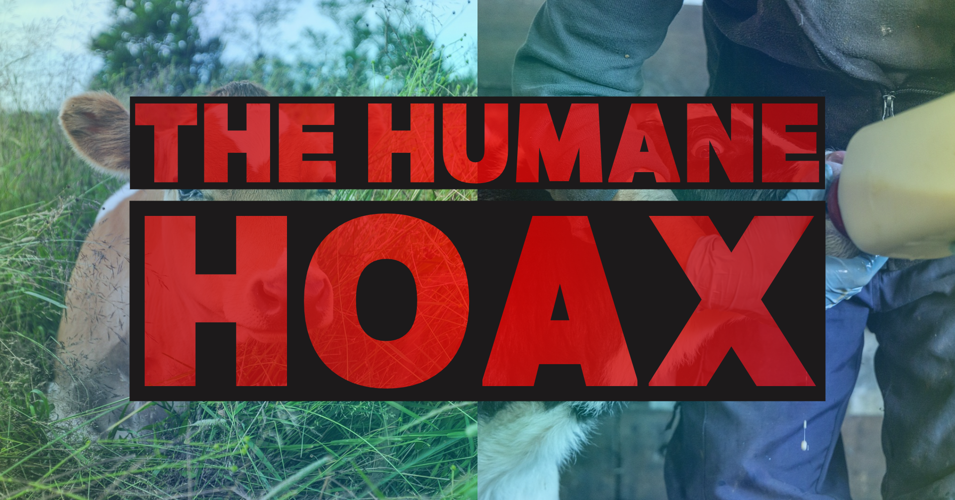 The Humane Hoax, an online webinar presented by Hope Bohanec of Compassionate Living