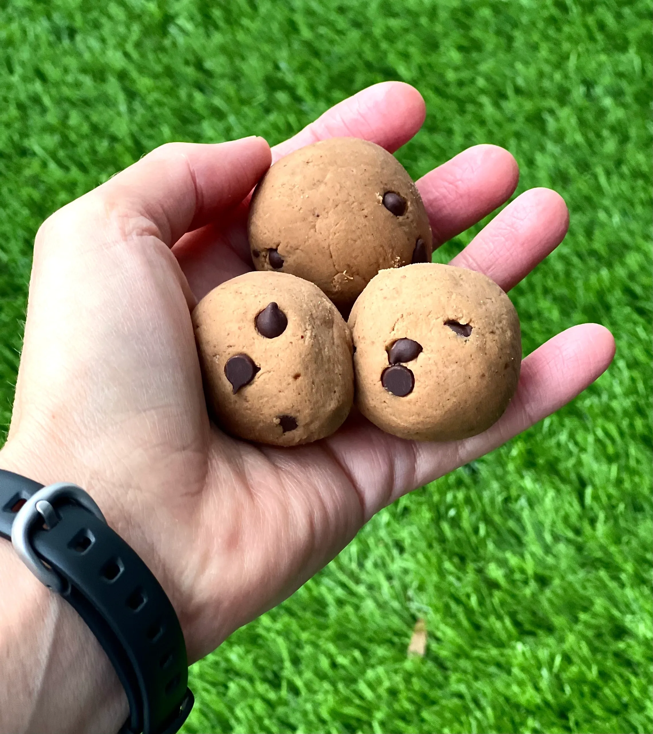 Peanut Protein Bites