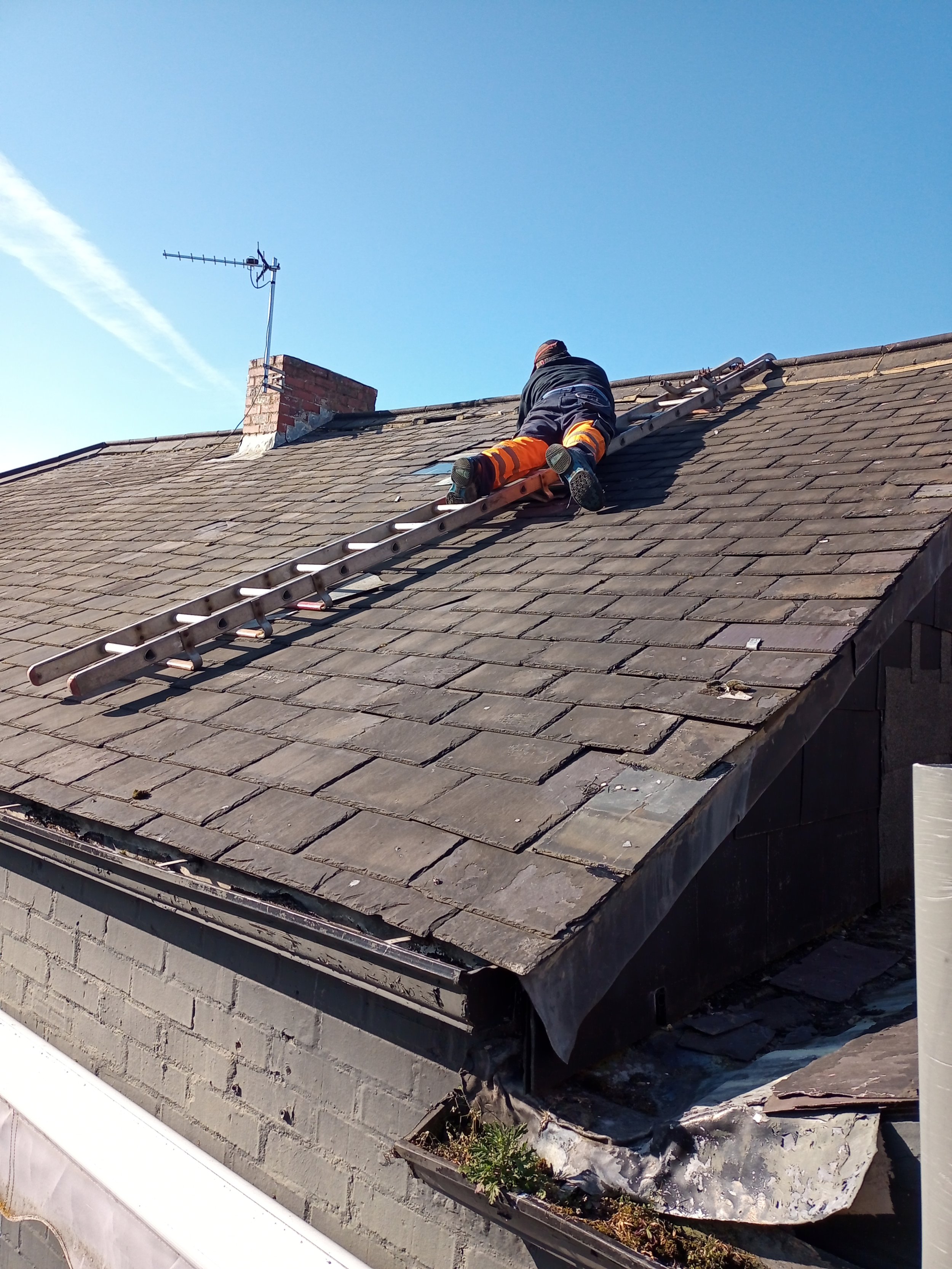Person working on a roof with a ladder