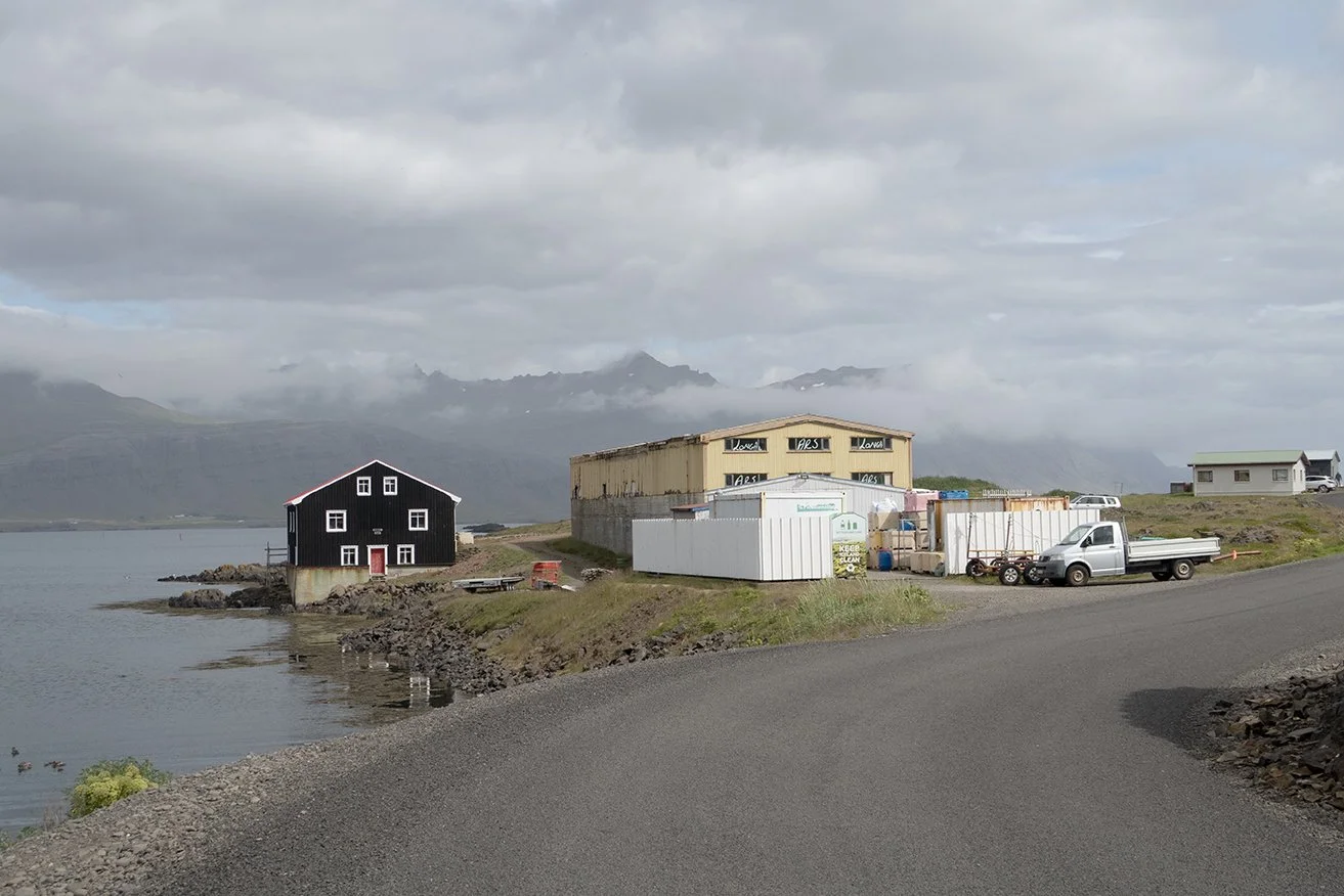 Djupavik Ars Longa 72dpi.jpg