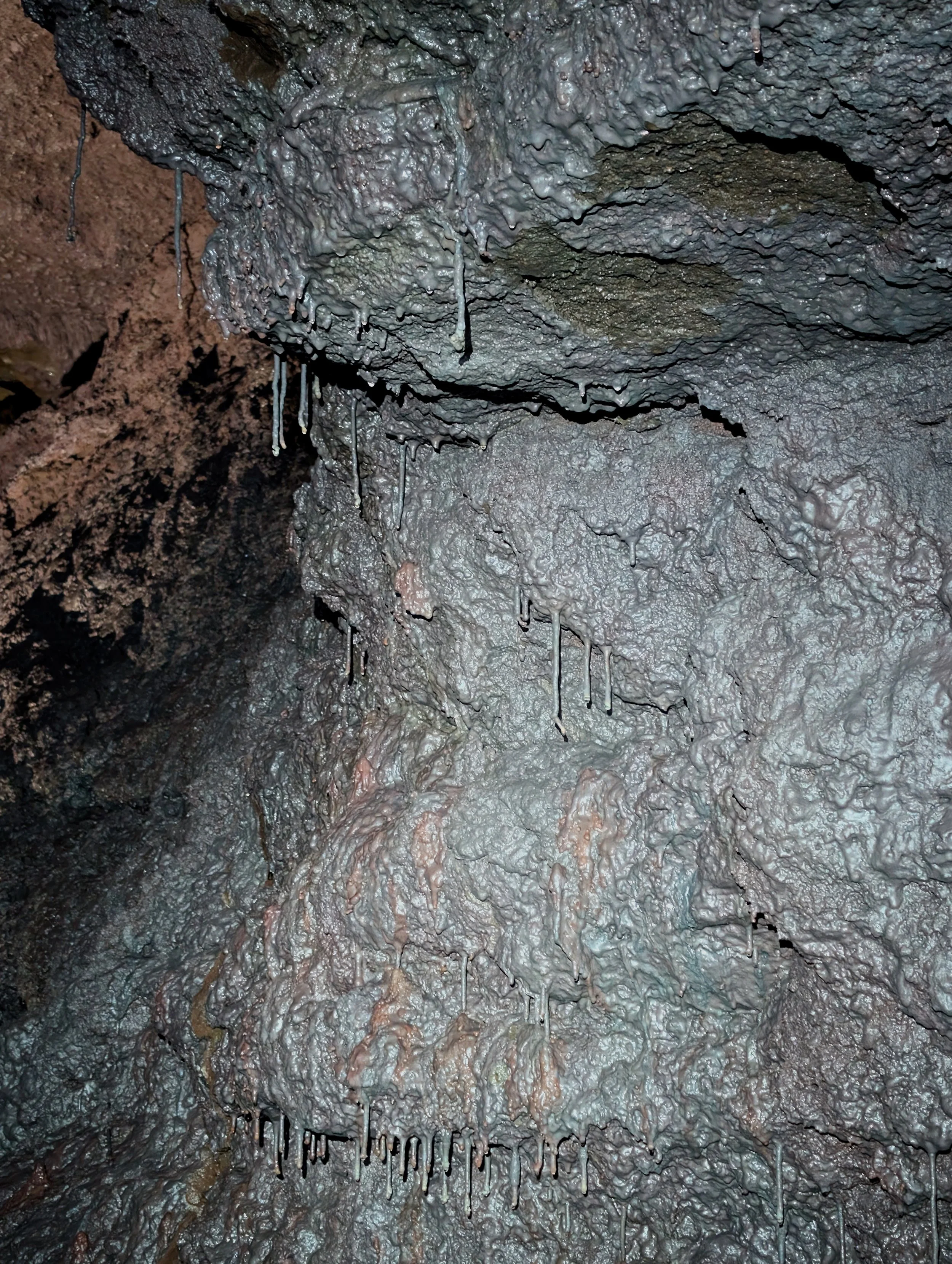 Cave drypp.jpg
