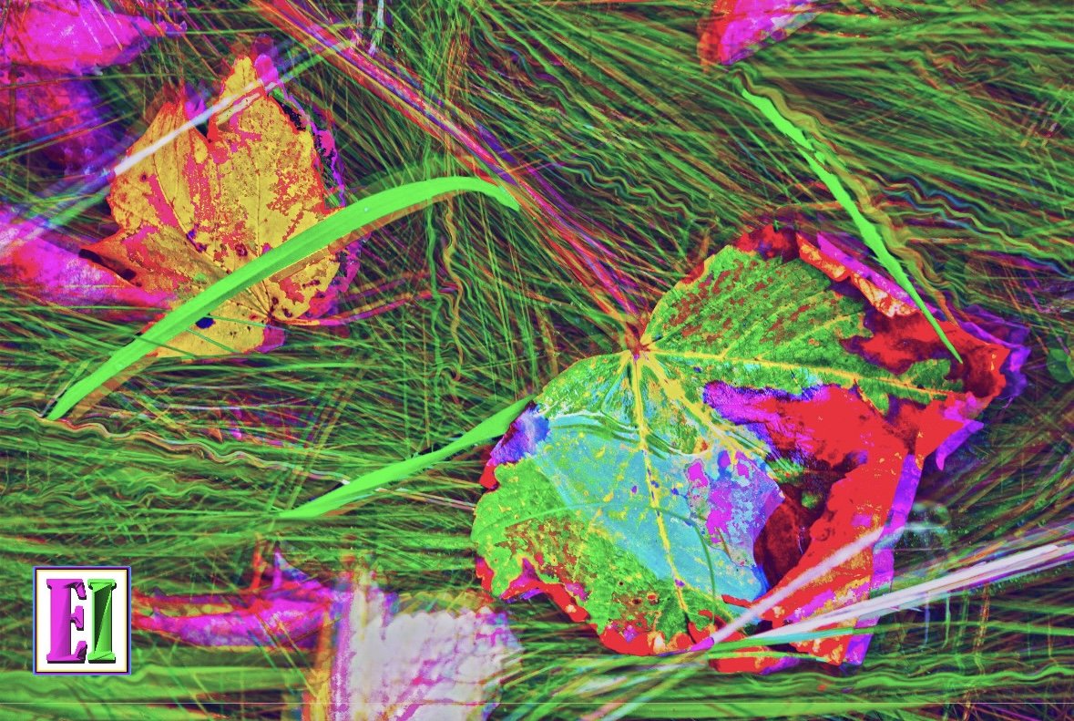 4CE020C6-C770-4AC2-8A1B-E2F0E705D7C3.jpeg