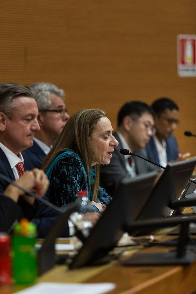 Rosa Giovanna Barresi (University of Florence & BABEL), chair of Panel 4, in the foreground. Sala Convegni, Social Sciences Campus, 9 May 2025. Photo: Serena Gallorini / Fotoproject.