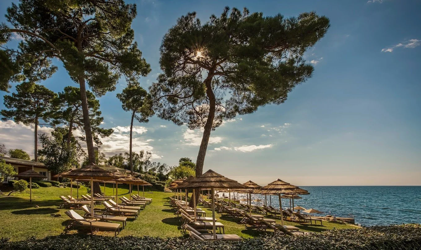 Beach resort area with sun loungers, parasols, and trees overlooking the ocean.